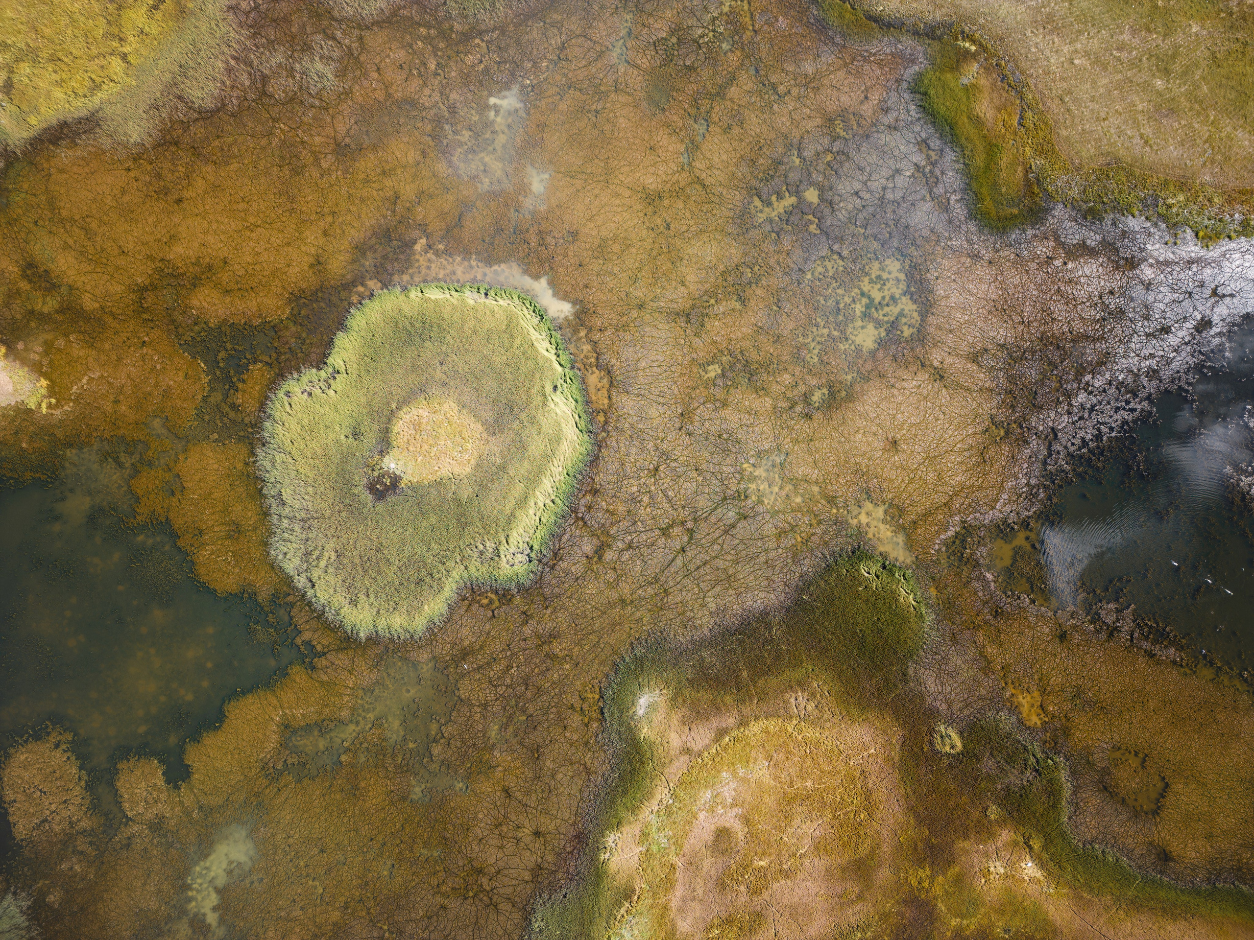 Путешествие по южному Алтаю. Семоха Валерий. Фотограф