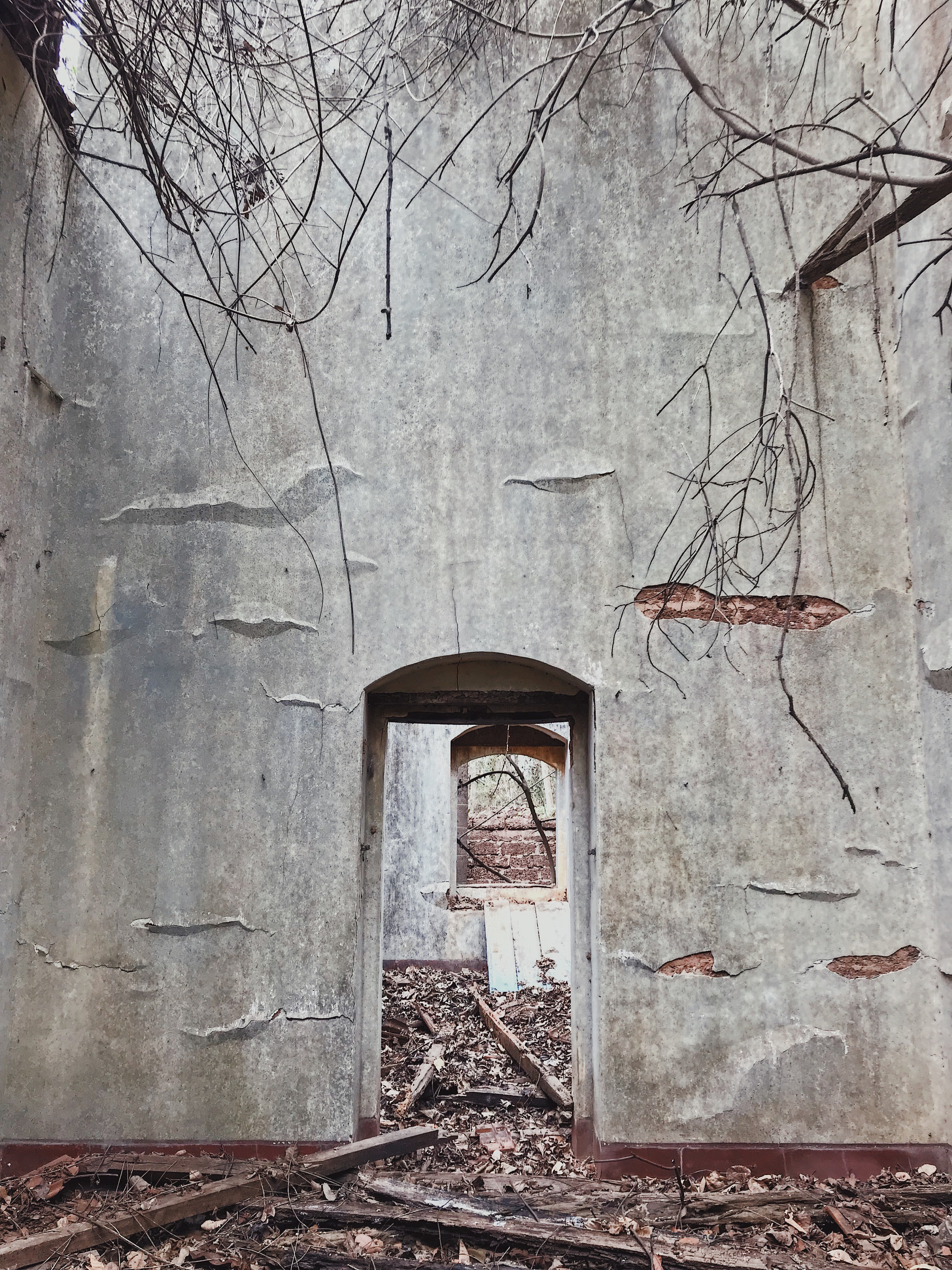 Анна Литвинова