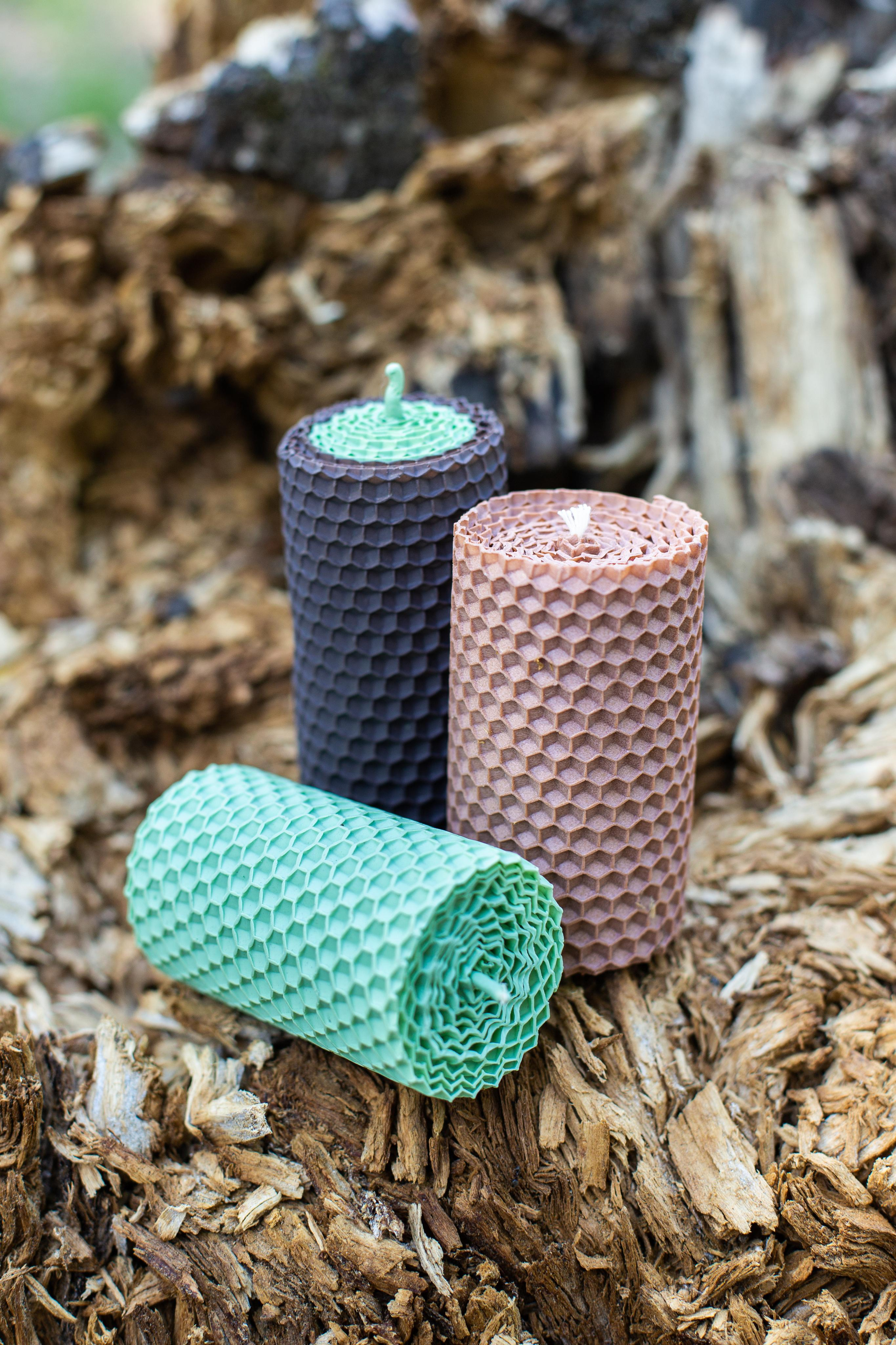 Фотосессия в цветущем саду. Фотограф в Красноярске Оксана Мазун