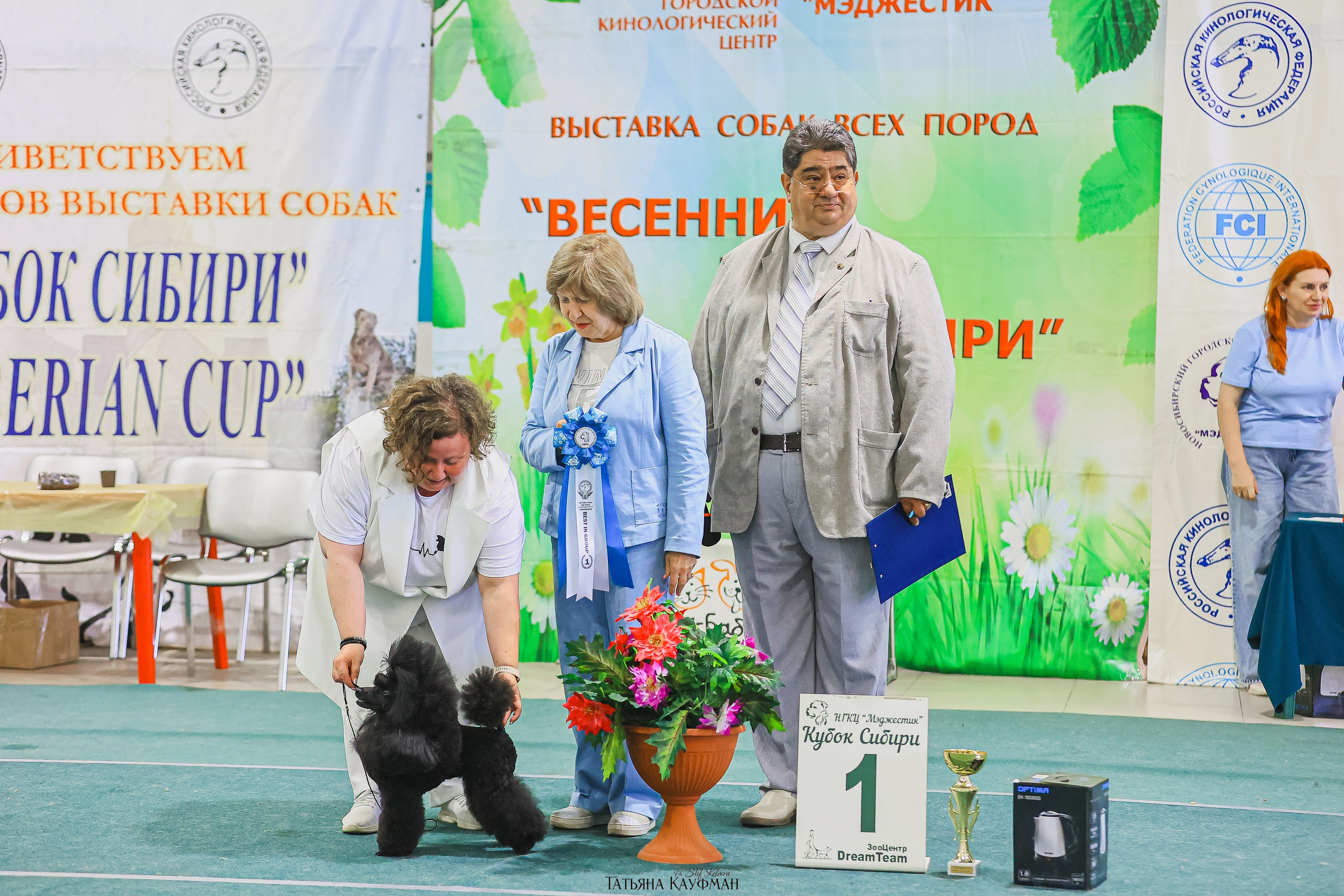 13.07.25 2х выставки собак. Новосибирск. «Кубок Сибири»