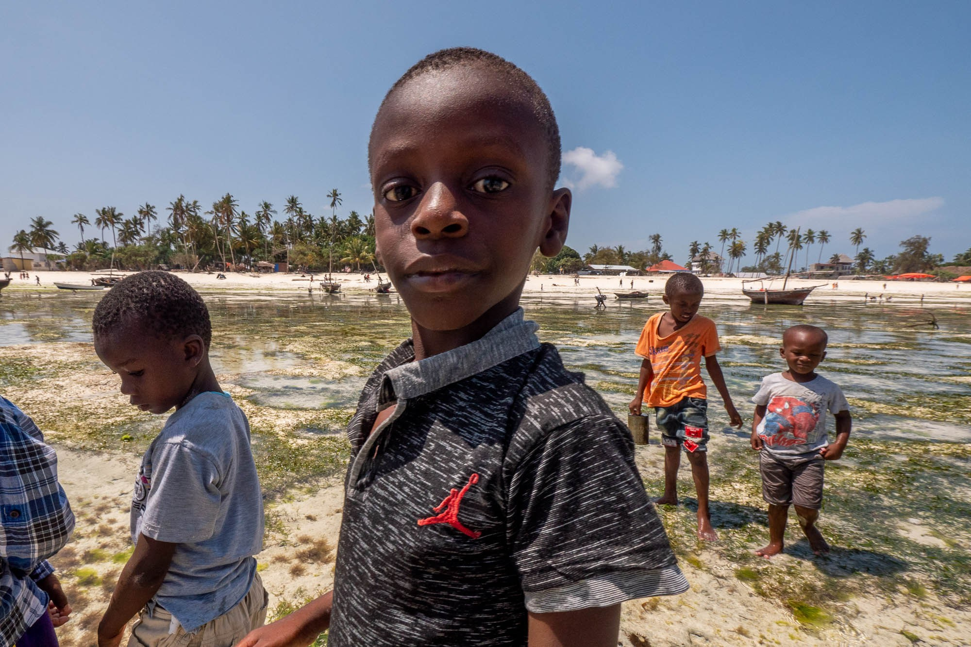 Африка, Танзания, Занзибар, Нунгви. Africa, Tanzania, Zanzibar, Nungwi. Фотограф Алексей Скоробогатько