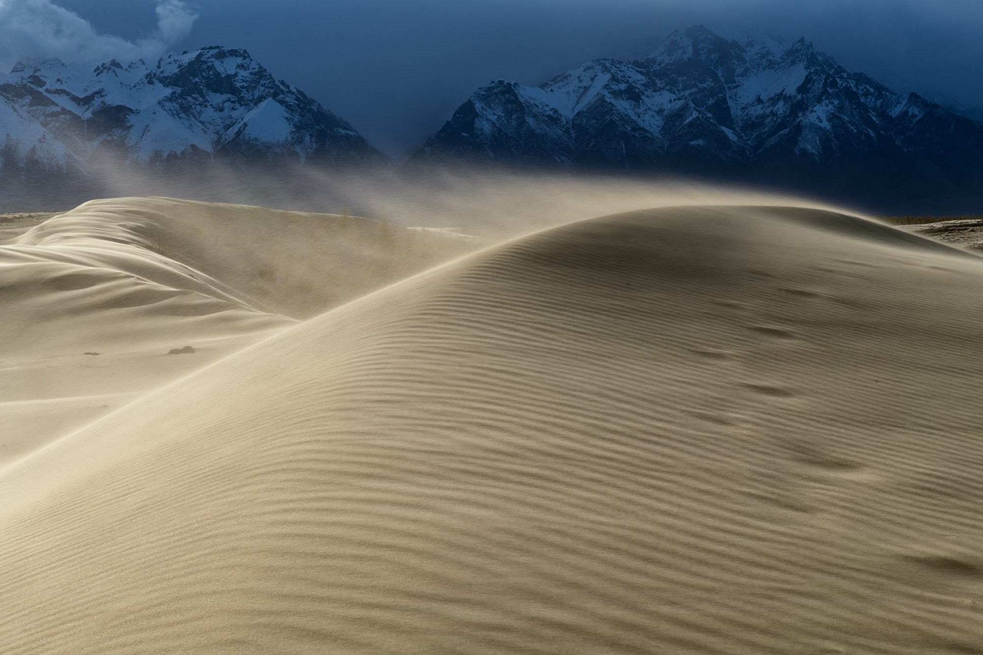 Чарские пески. Май 2026