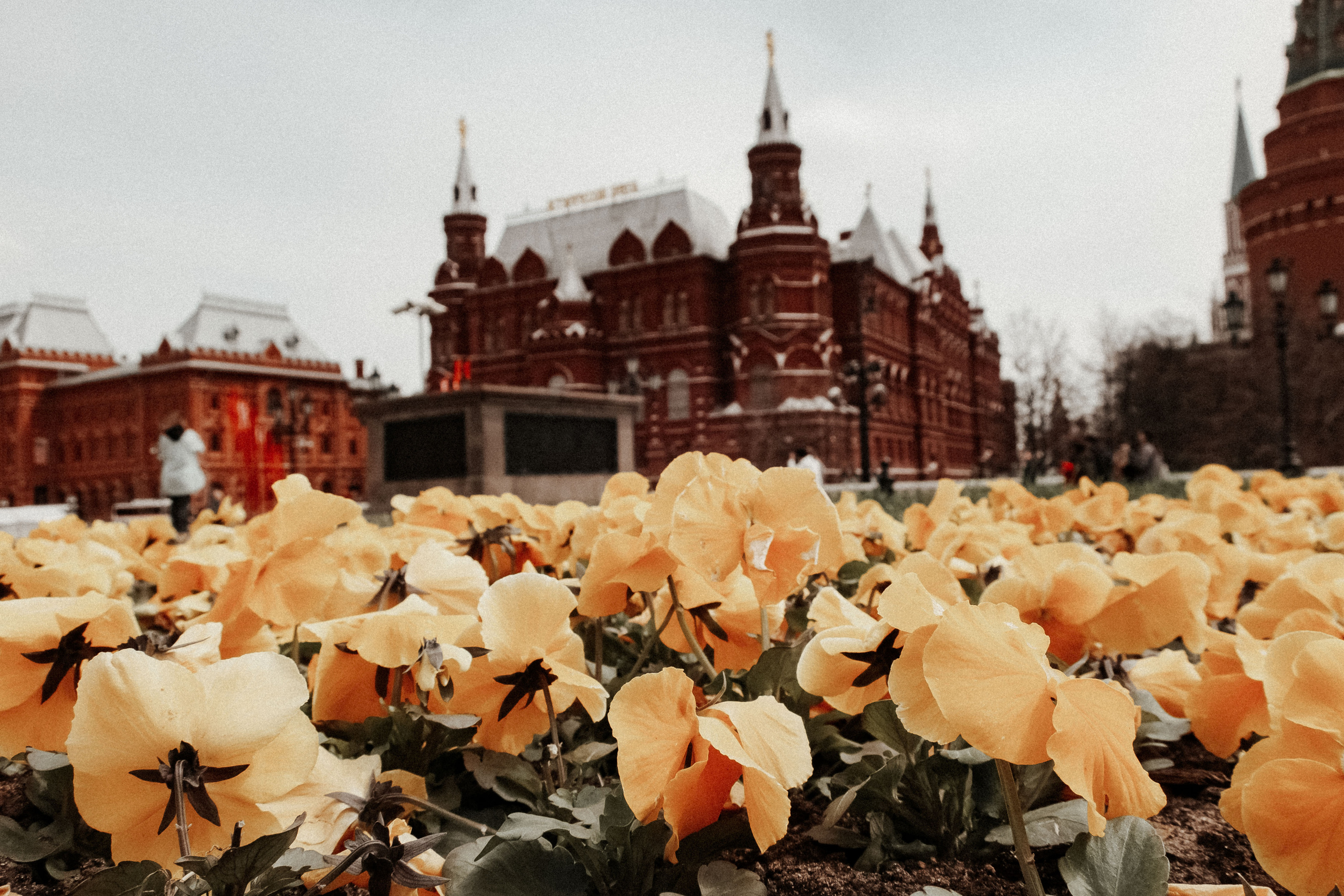 Москва 7-10. Фотограф Светлана Голицына