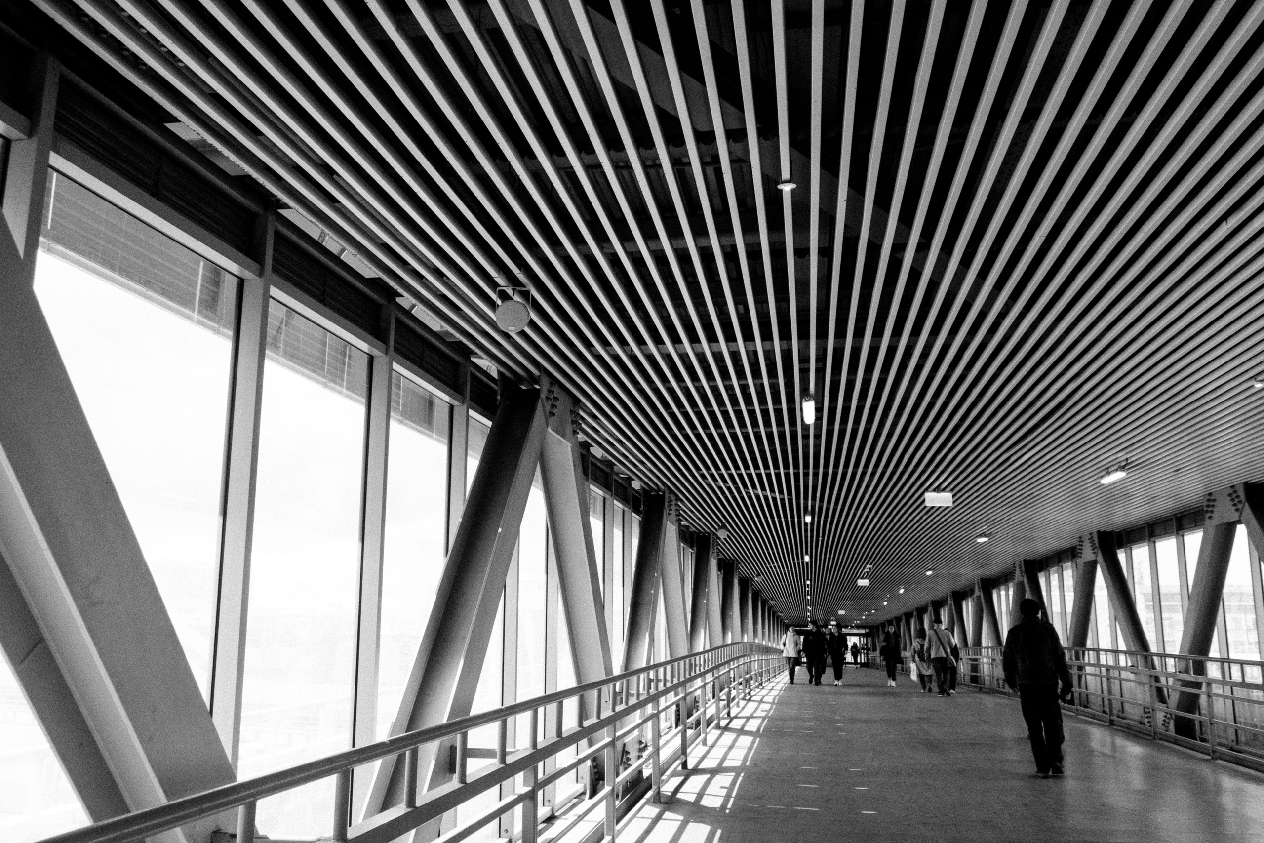 ЧБ. Фотограф Светлана Голицына