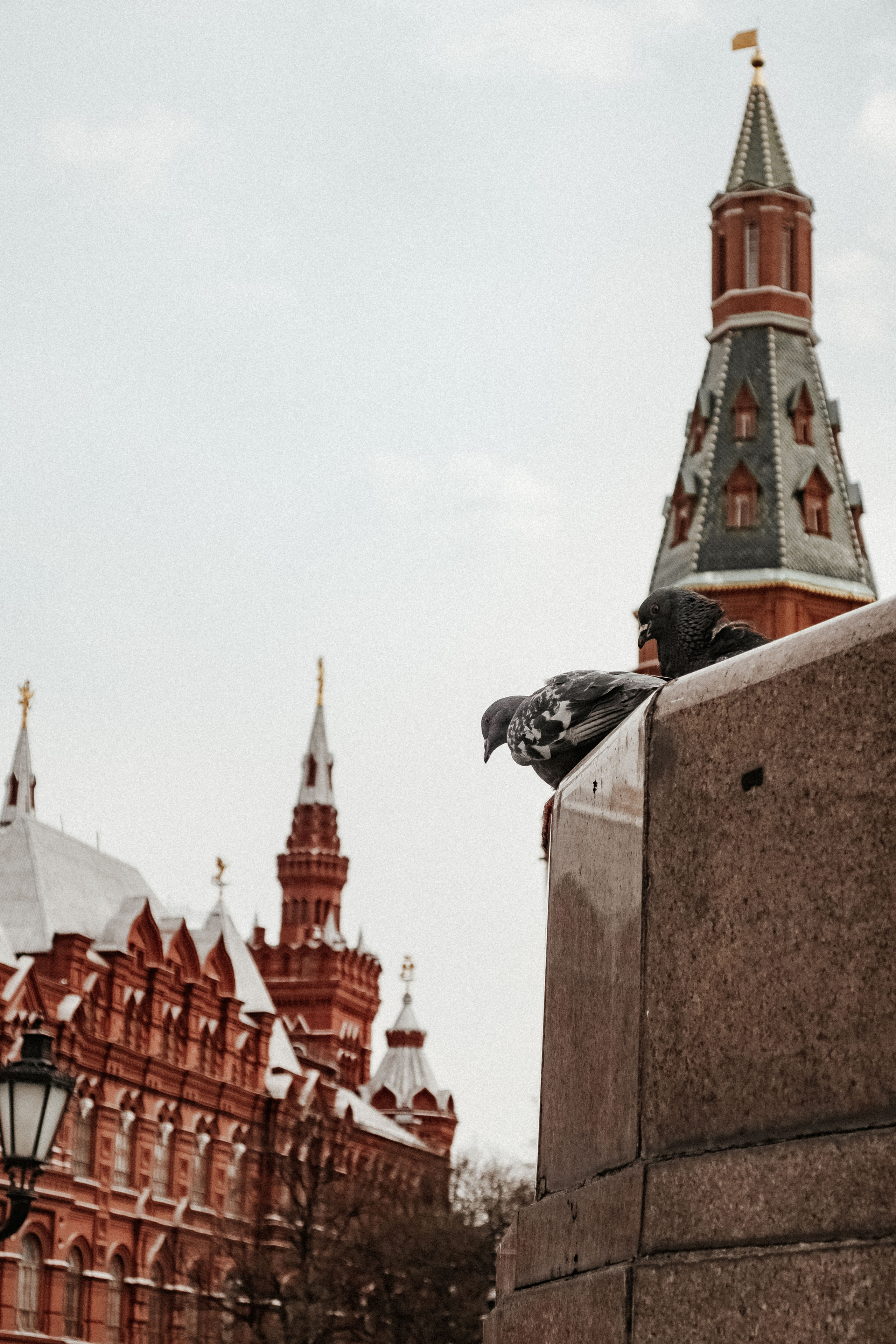 Москва 7-10. Фотограф Светлана Голицына