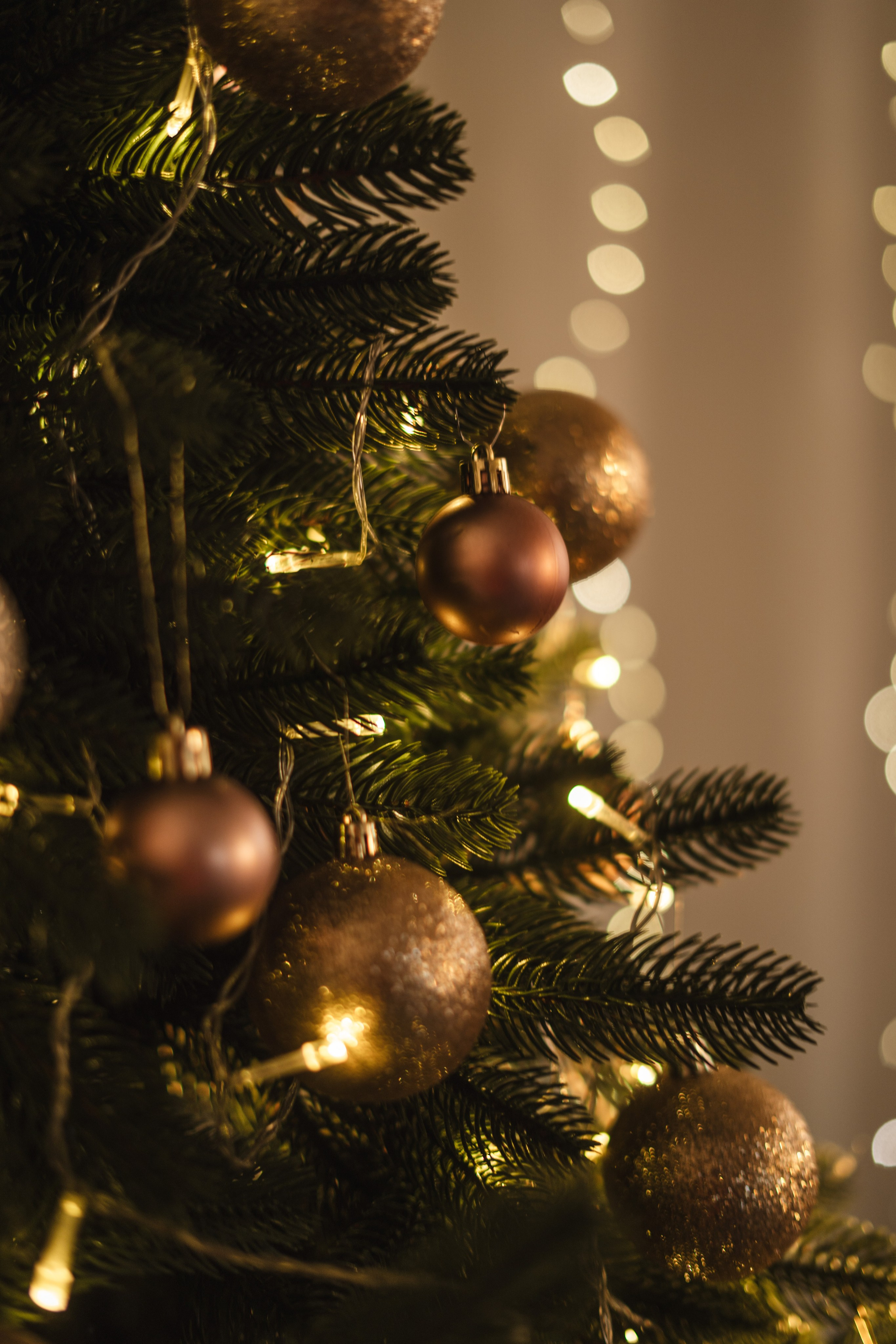 Фотостудия Импульс Новый год 2026 зал Life Лайф