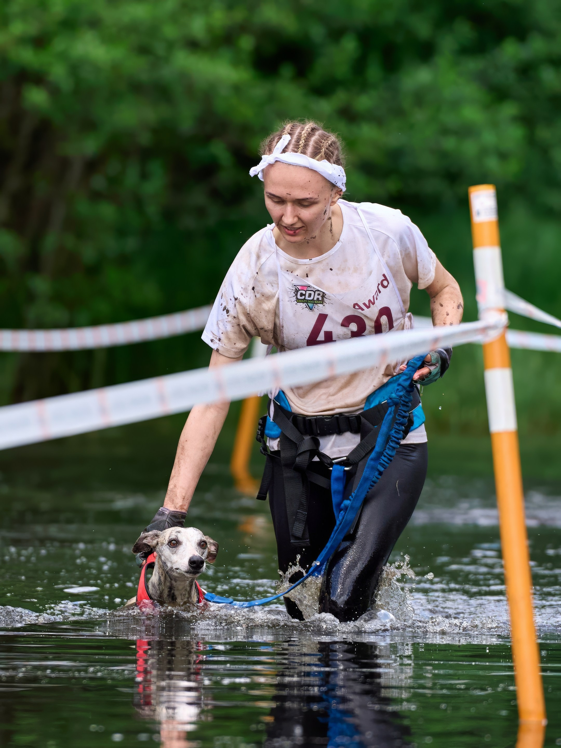 Хвостатый драйв — 2024. Фотограф-анималист Михаил Манухин