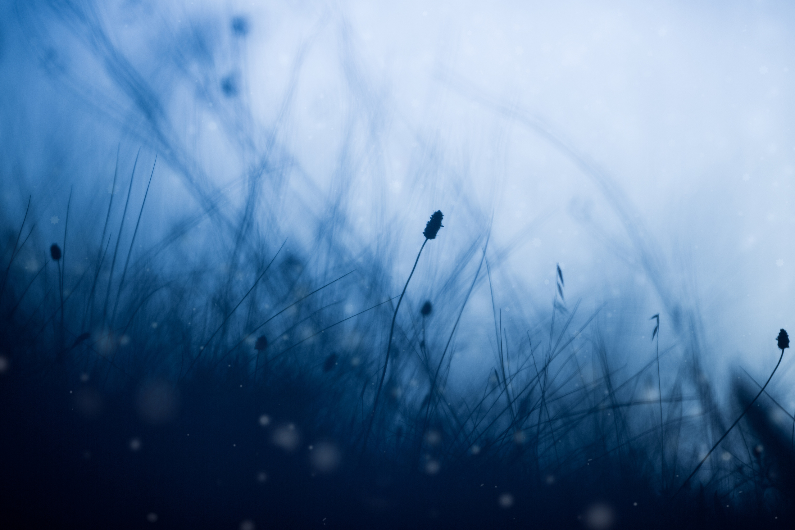 Крым. Фотограф Светлана Голицына