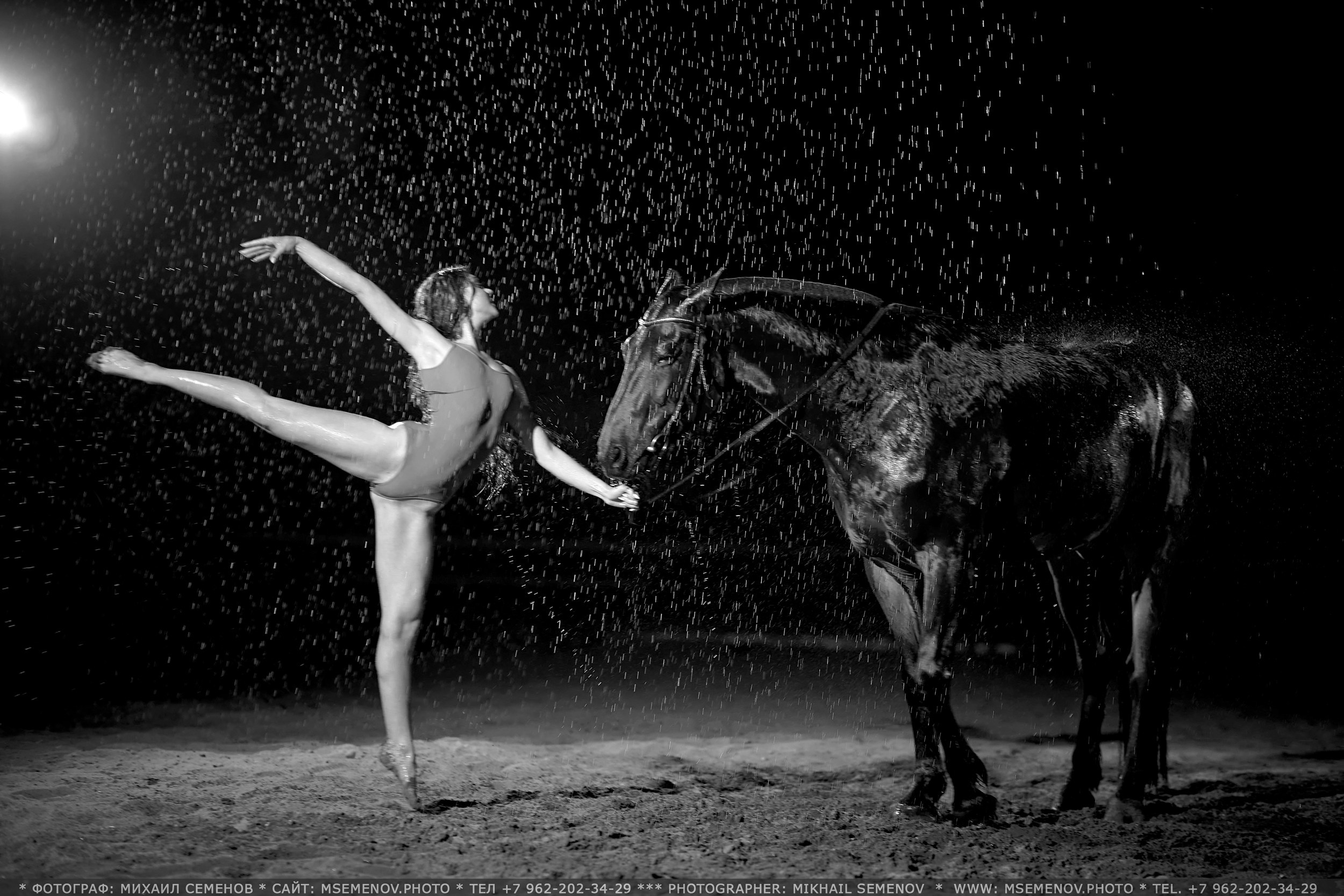 Балет и лошади, фотосессия «ГРАЦИЯ и СИЛА-1» Фотограф Михаил Семенов г. Ярославль