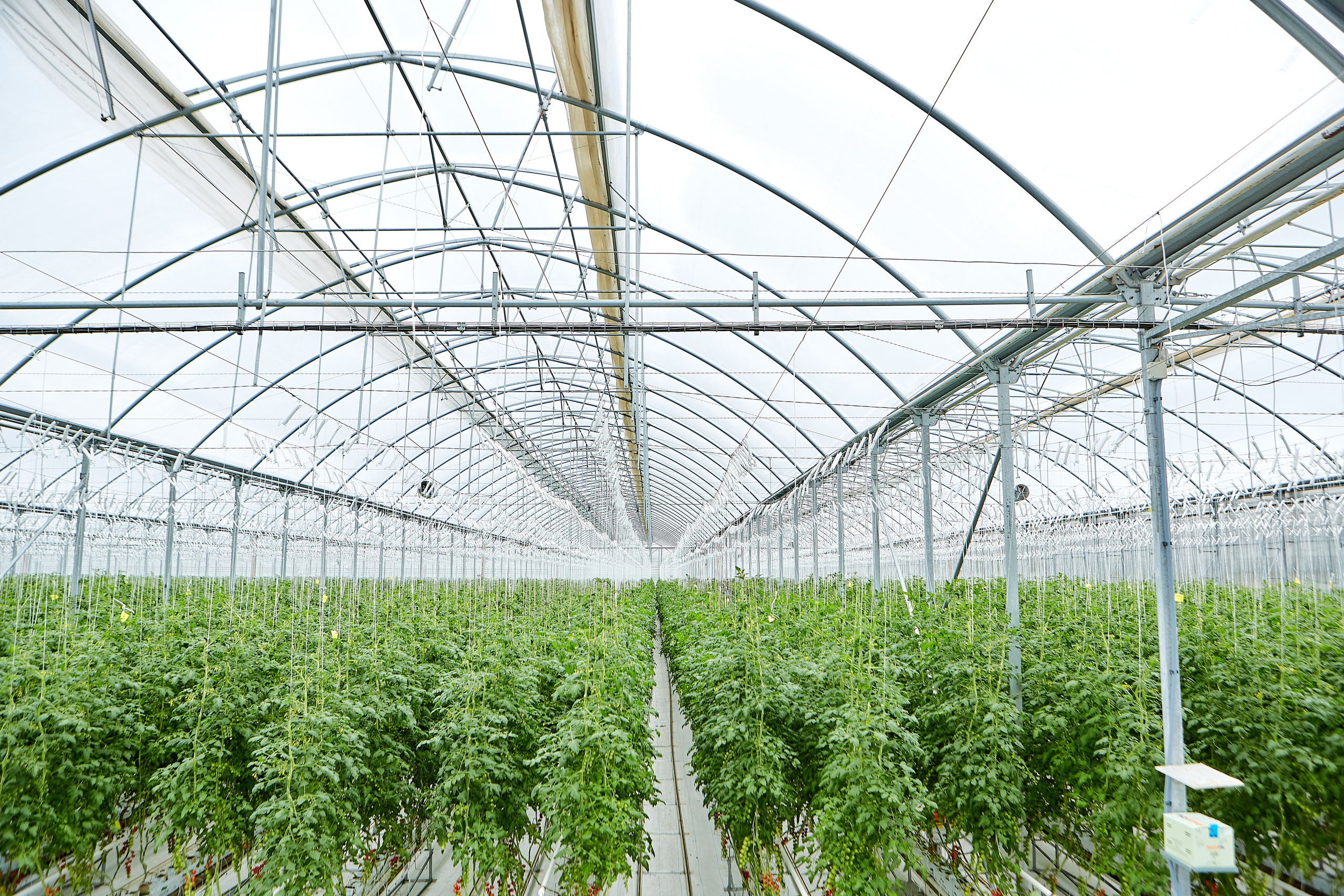 Эко-Культура