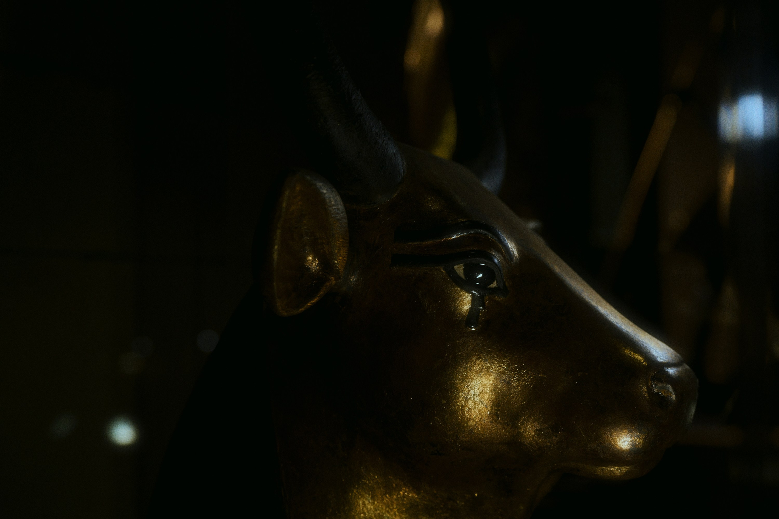 Tomb of Tut Ankh Amun. Фотограф Юрин Евгений