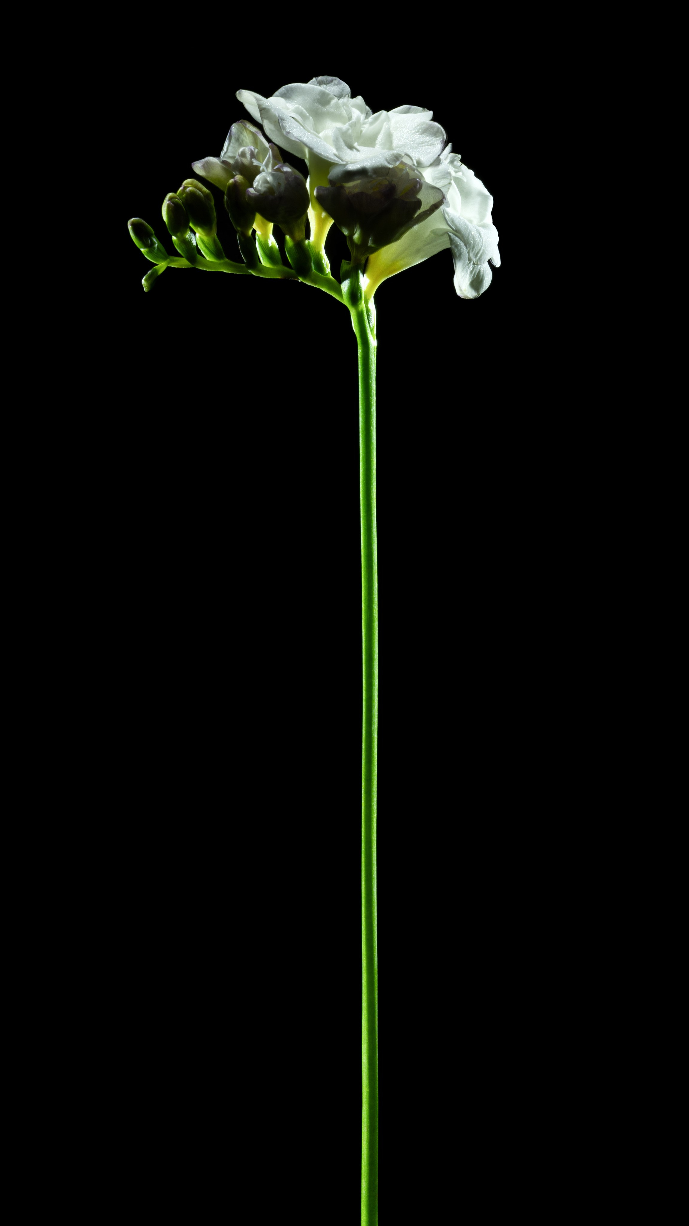 Проекты. Sakunov Photo