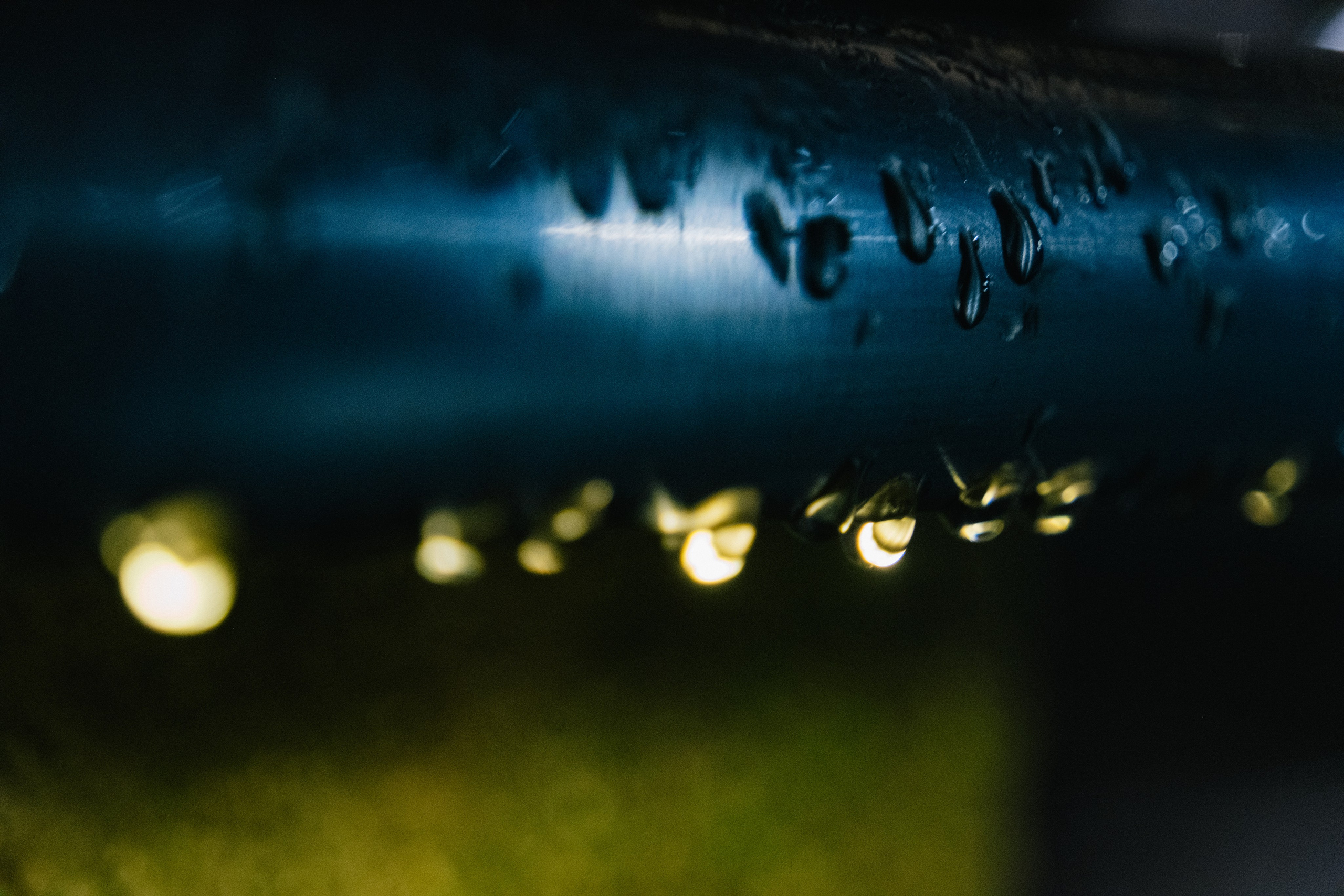 Великий Новгород моими глазами. Детский, семейный и ньюборн фотограф в Москве Юлия Шуарт