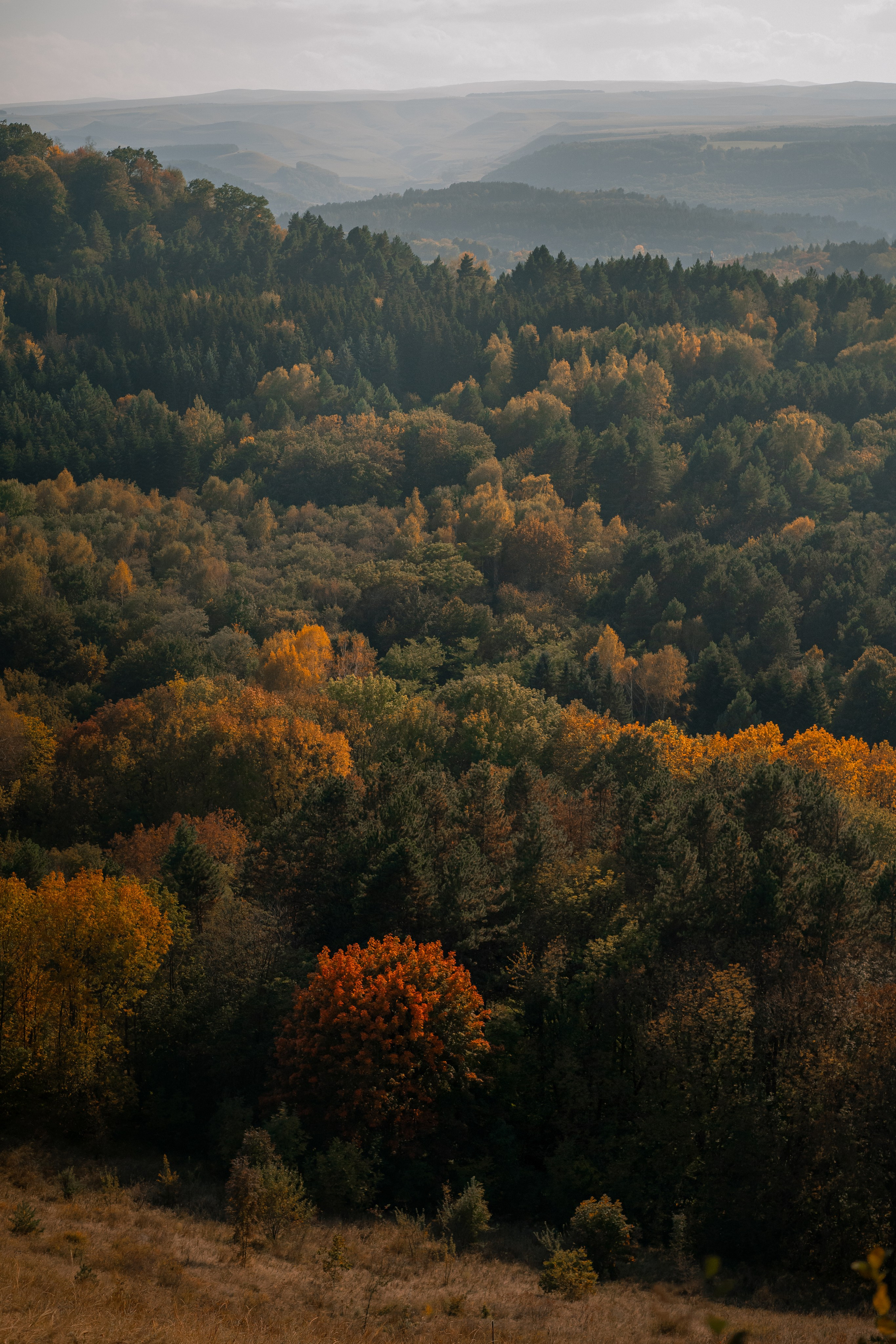 Извилистые терренкуры. Юля Дэй • Фотограф, Санкт-Петербург