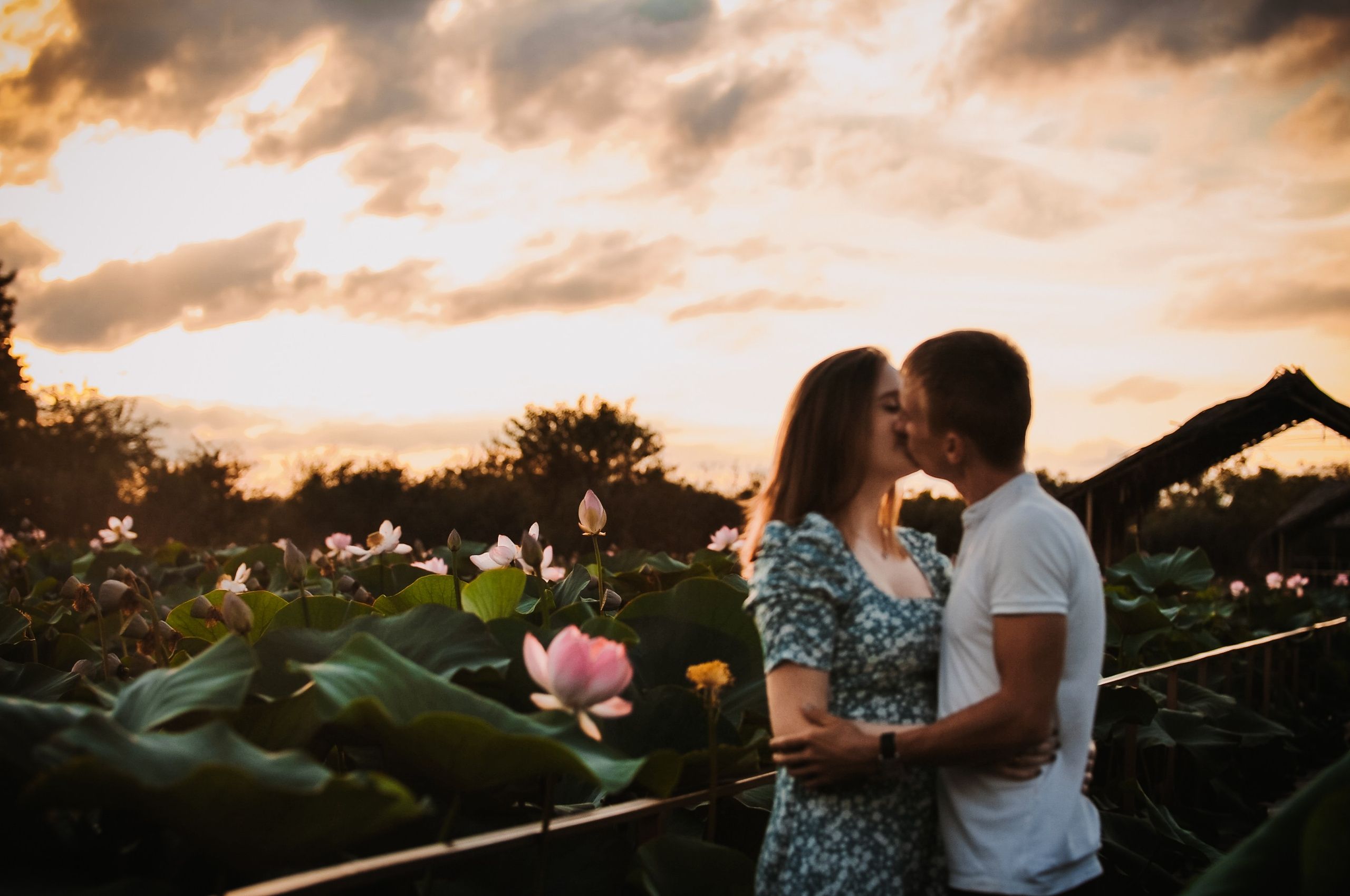 Лотосы. Свадебный фотограф и видеограф в городе Армавир Katerina Arts