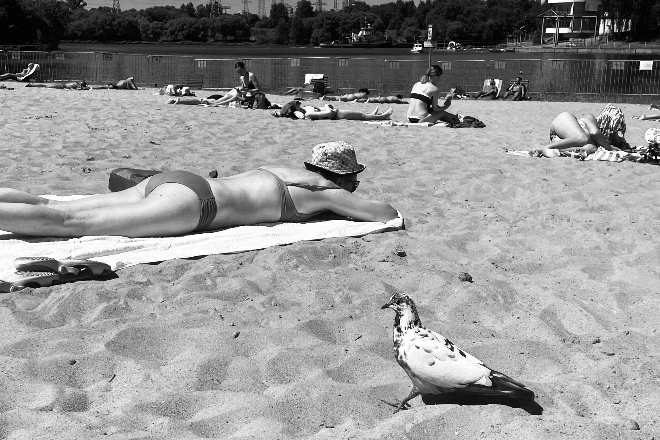 Черно-белая жара. Колесникова Мария Арт-фотограф