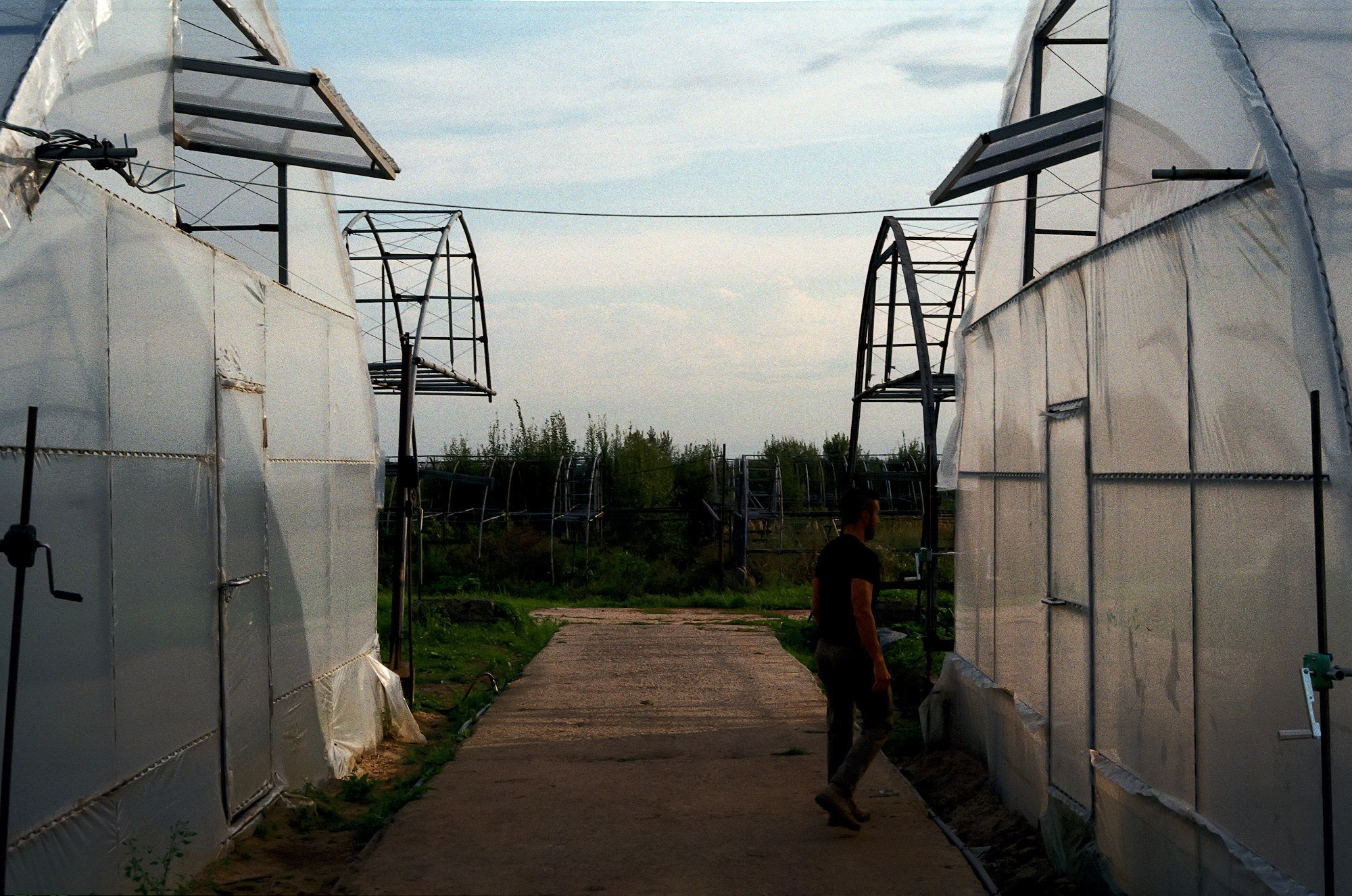 SuperFoodFarm. The history of the farm. Another person Pavel Potseluev. A photographer in 2025