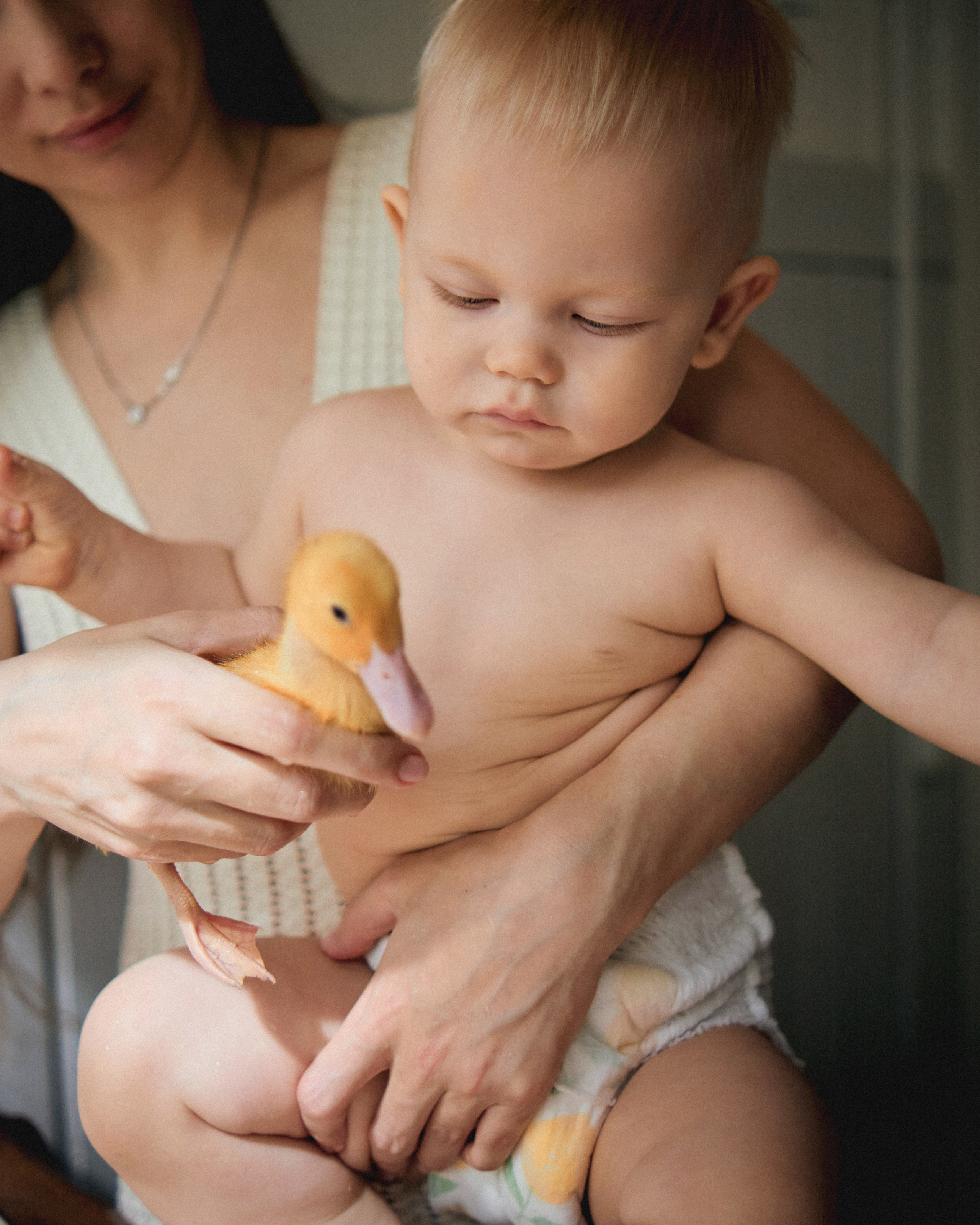 Обучение. SHILOVA PHOTO. Шилова Екатерина. Фотограф. Москва