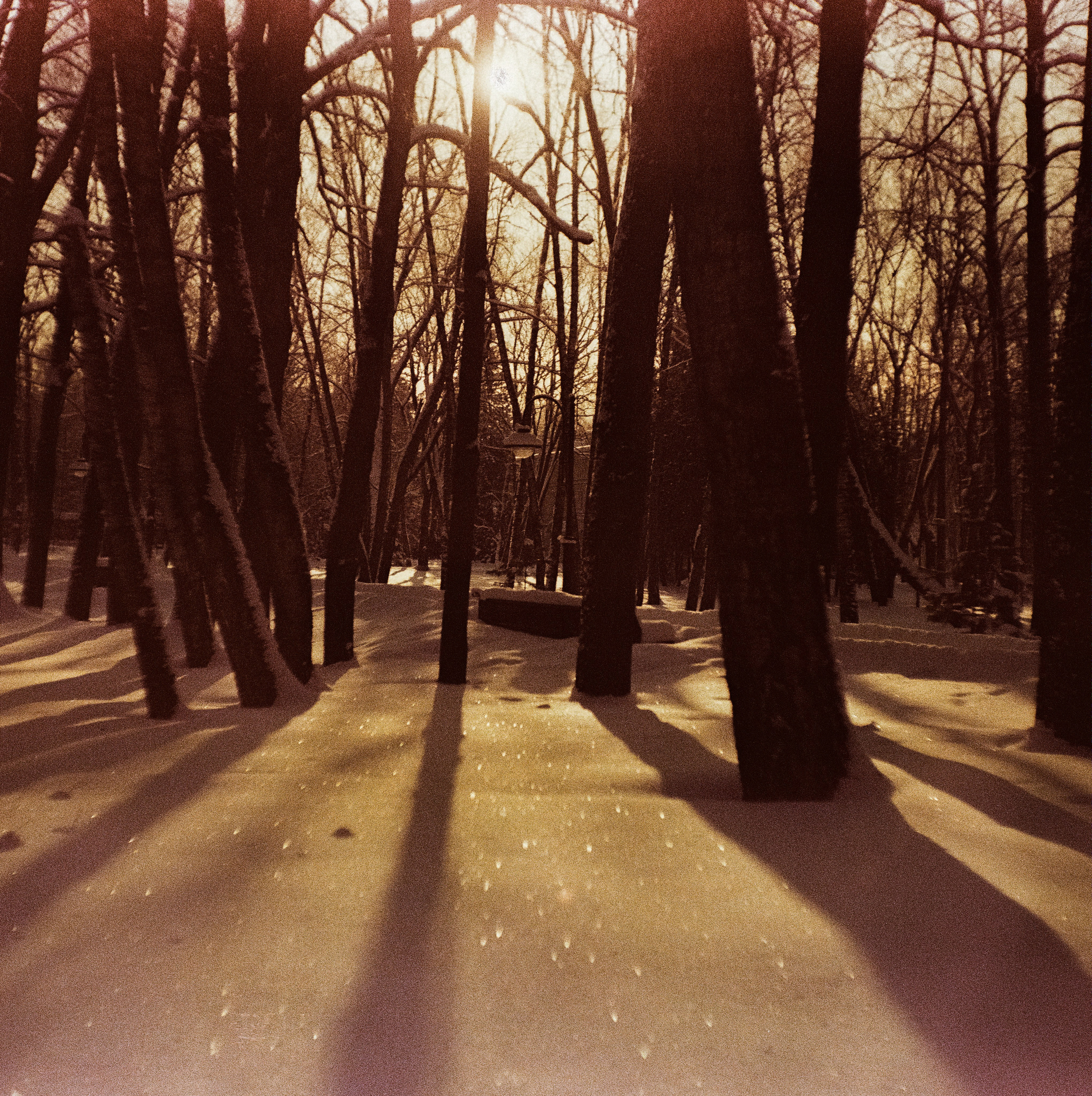 Kodak Ektachrome 64T / Franka Solida III / Архангельское, Лукино