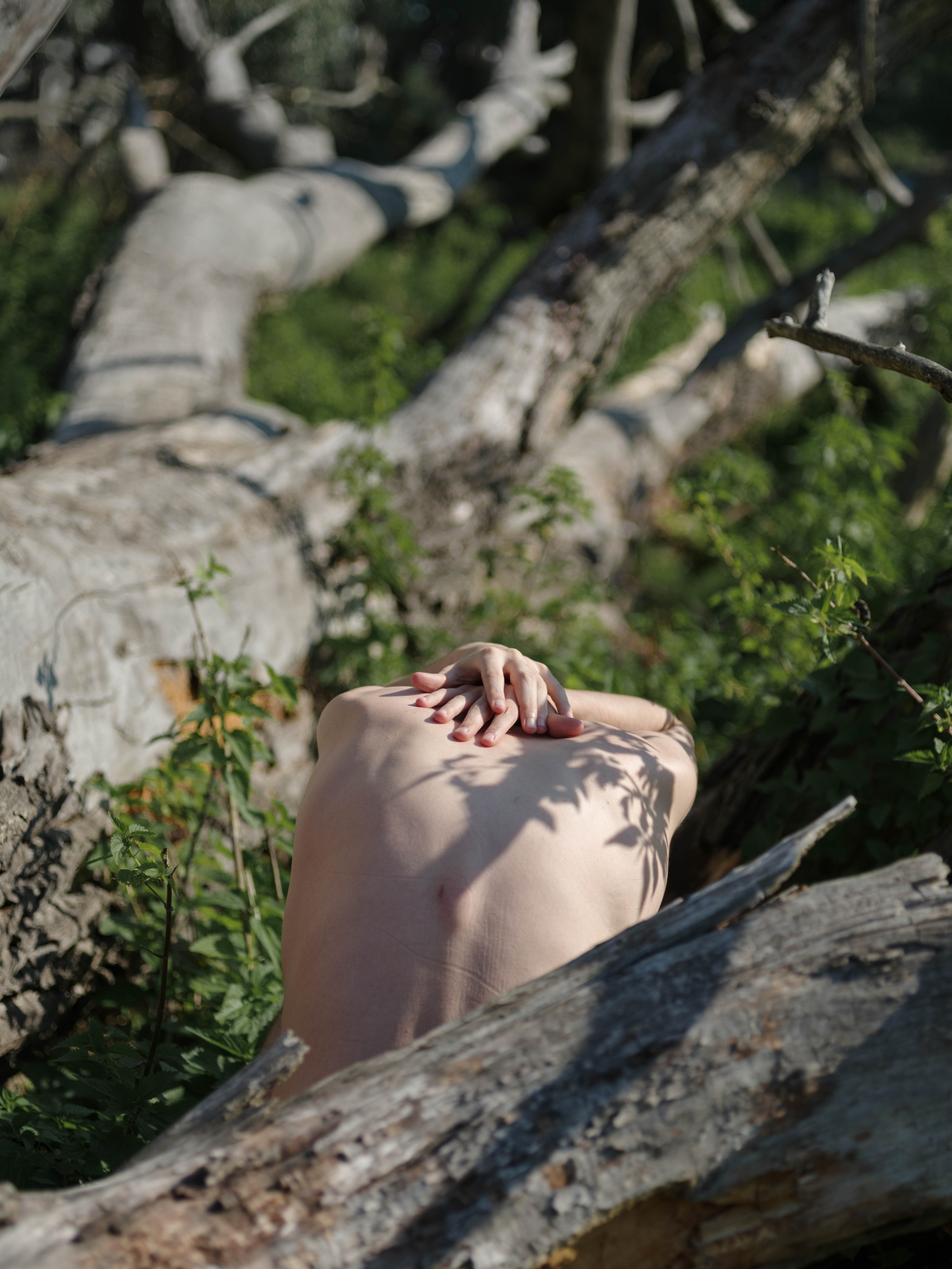 Antropocen (ongoing). Photographer, Documentary and Art