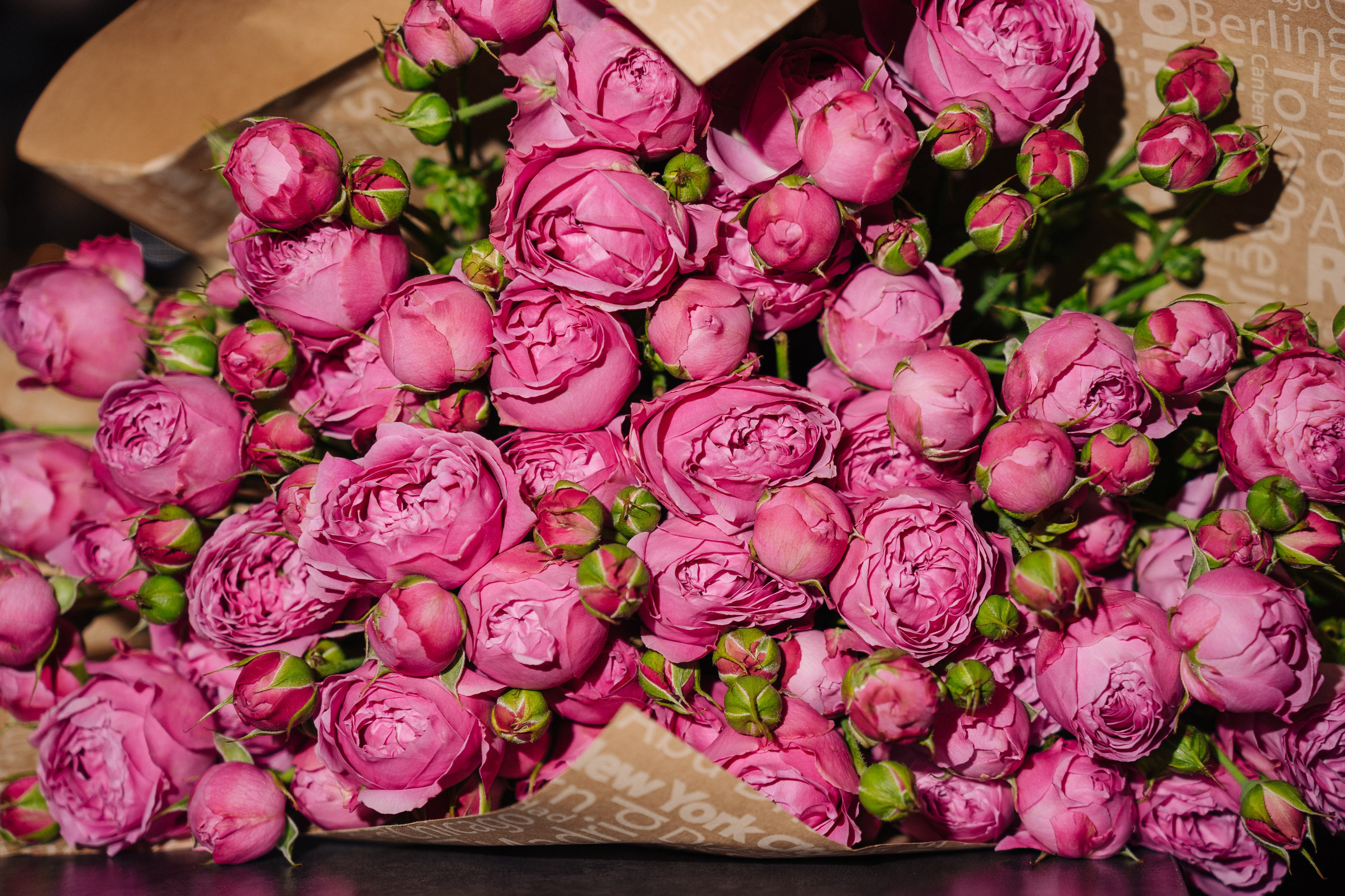 Услуги и цены. IzI_ photo