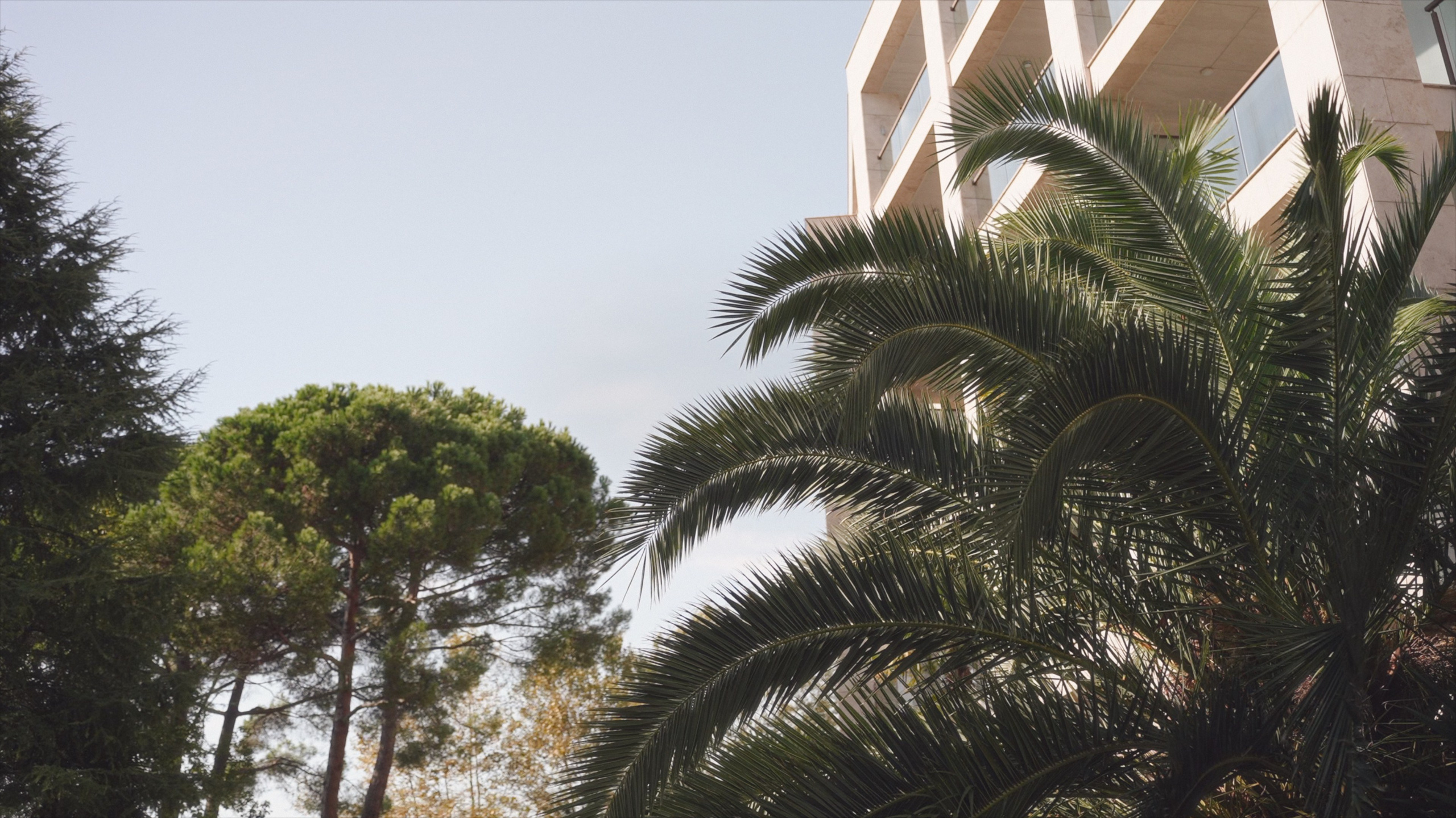 Екатерина и Егор. Агата Акварель видеограф Сочи Краснодар