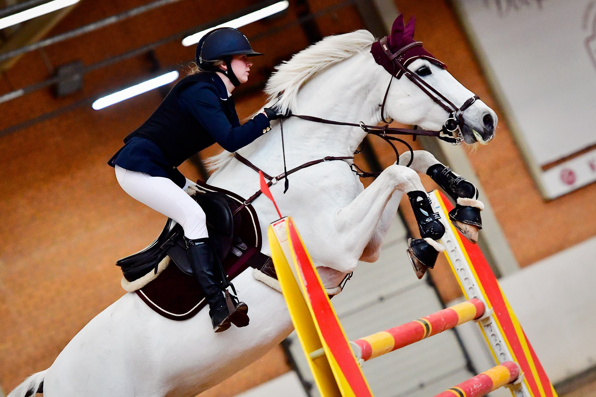 Конкур: кск «Дерби» 18 — 19.10.2025