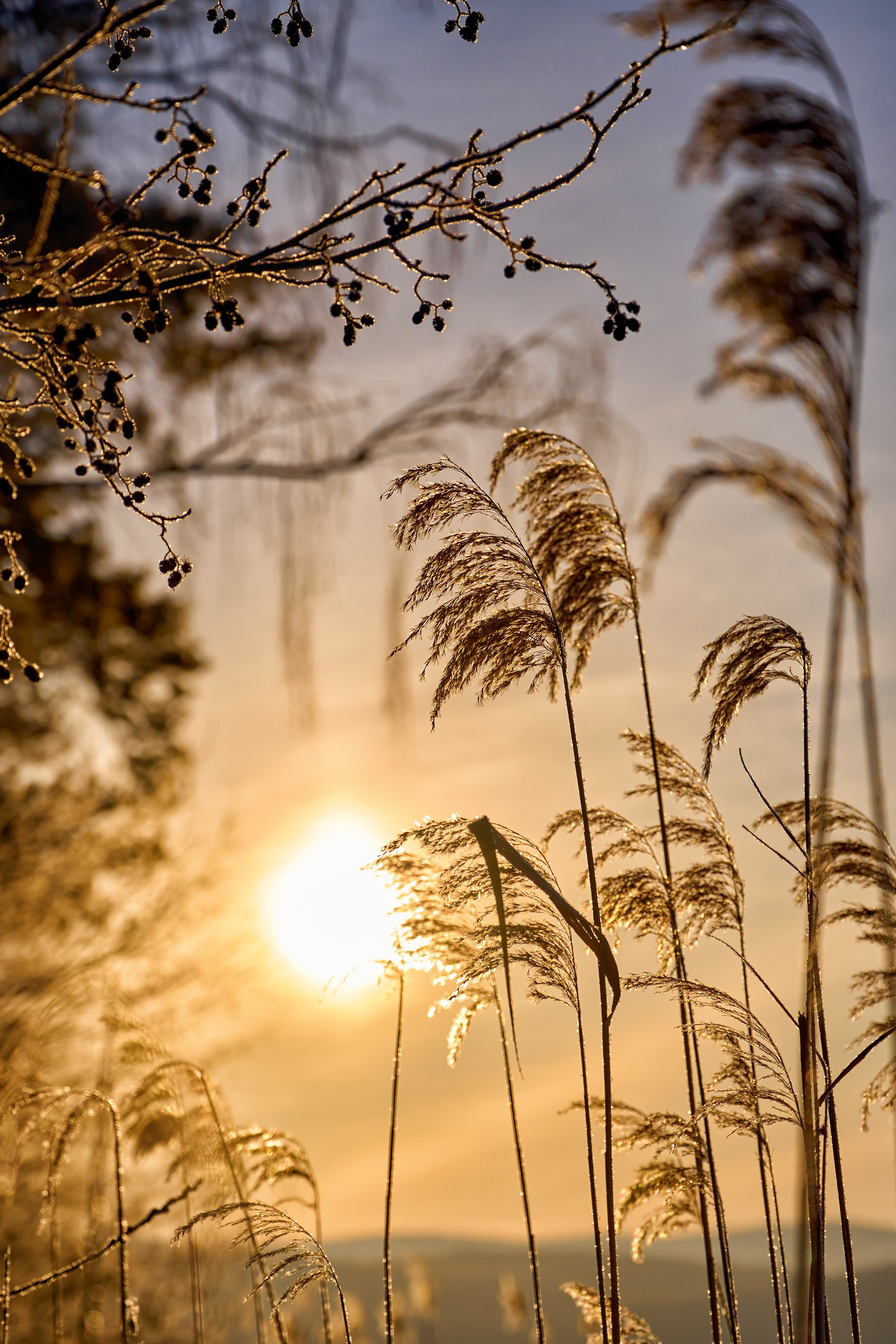 Пейзажи. Яркие фото на Чёрном море