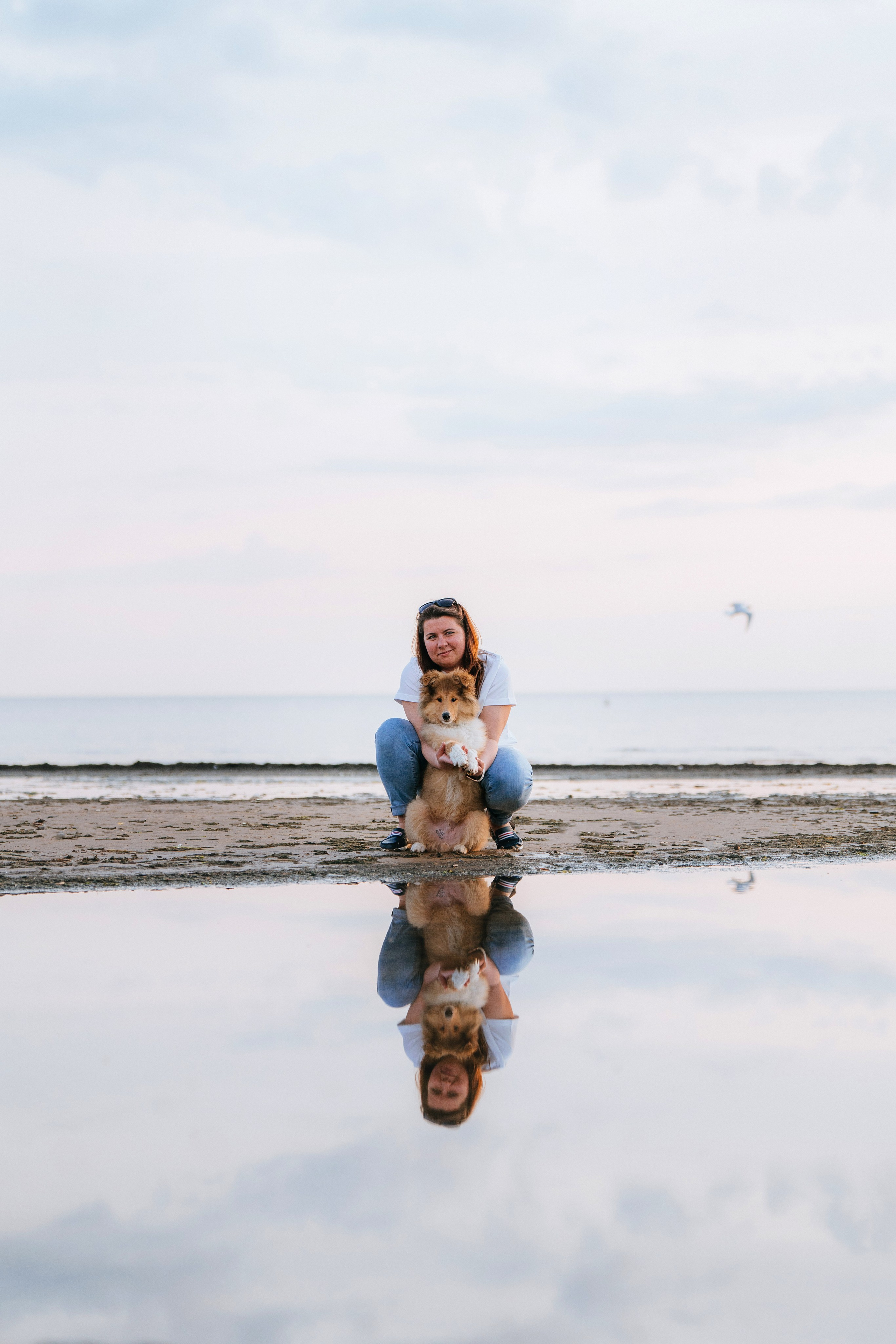 Фотосессия со щенками колли. Фотограф анималист в Спб недорого Олеся Майорова