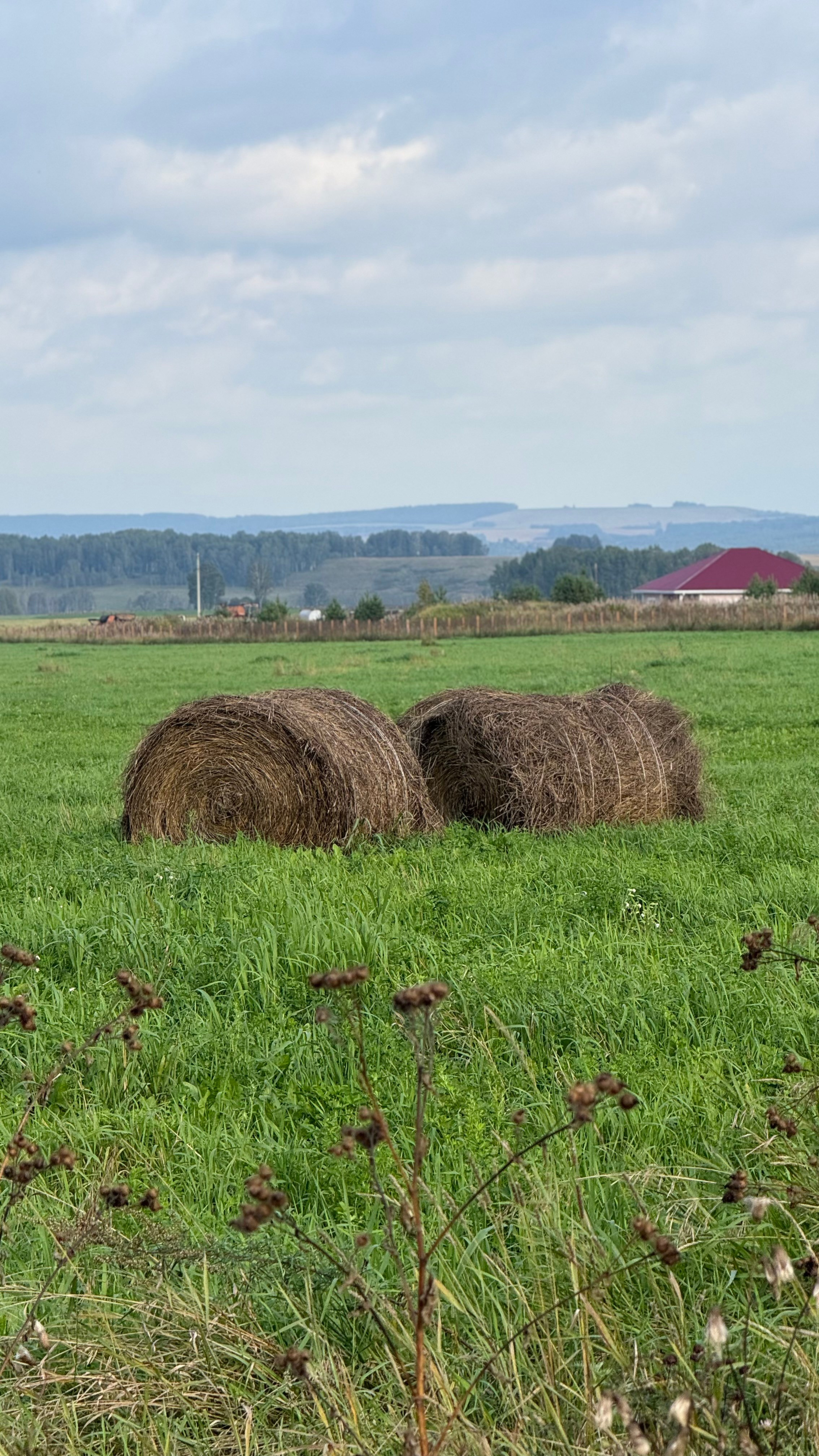 Гид от персонального стилиста: фотосессия в деревенском стиле. Екатерина Ананенко: персональный стилист из Красноярска