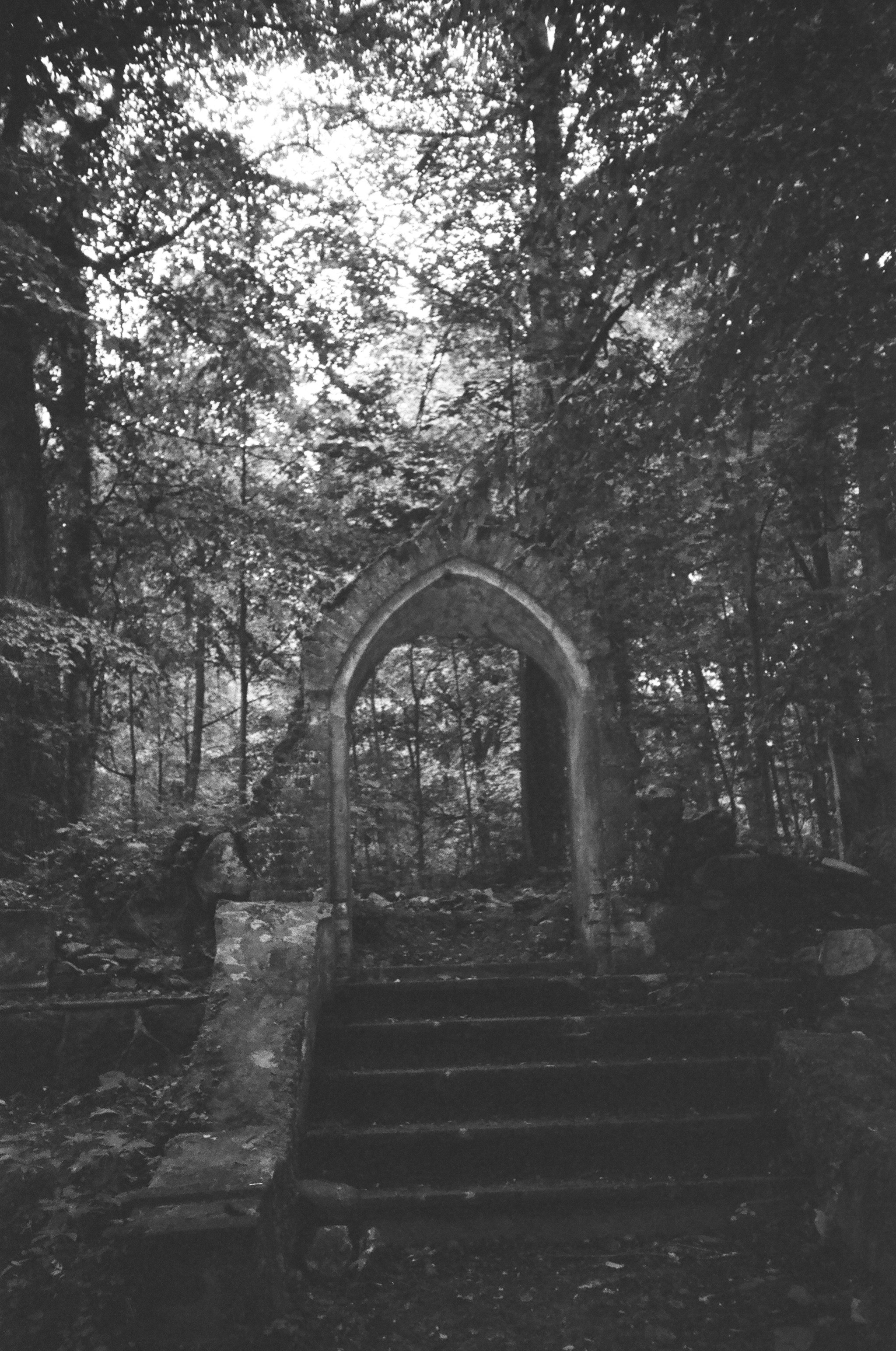 Калининград. Фотограф Севастополь, Крым. Портретный и репортажный фотограф Коваленко Антонина