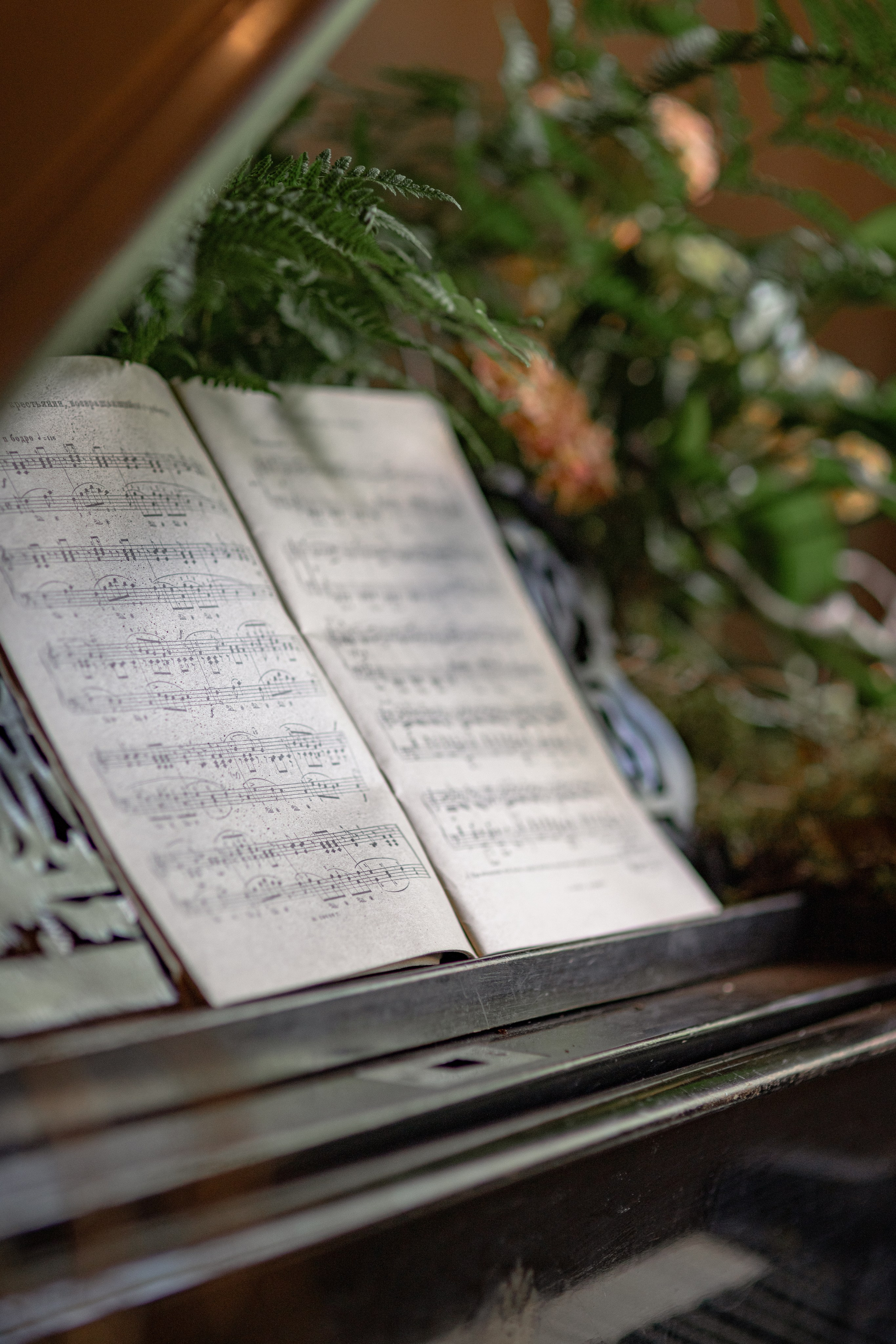 Фотостудия Зачарованный сад в Екатеринбурге