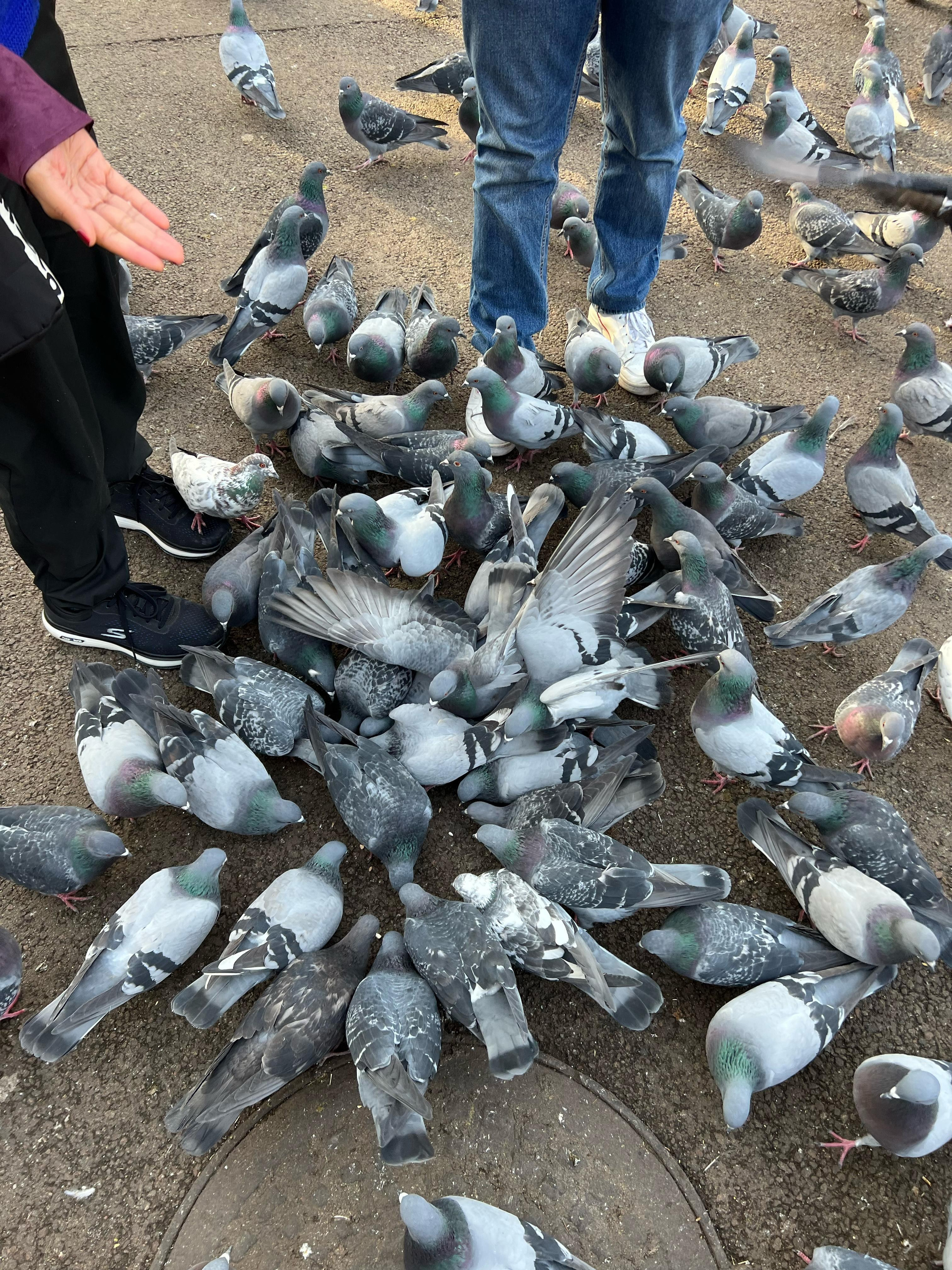 Парк 28 панфиловцев в Алматы — история и достопримечательности