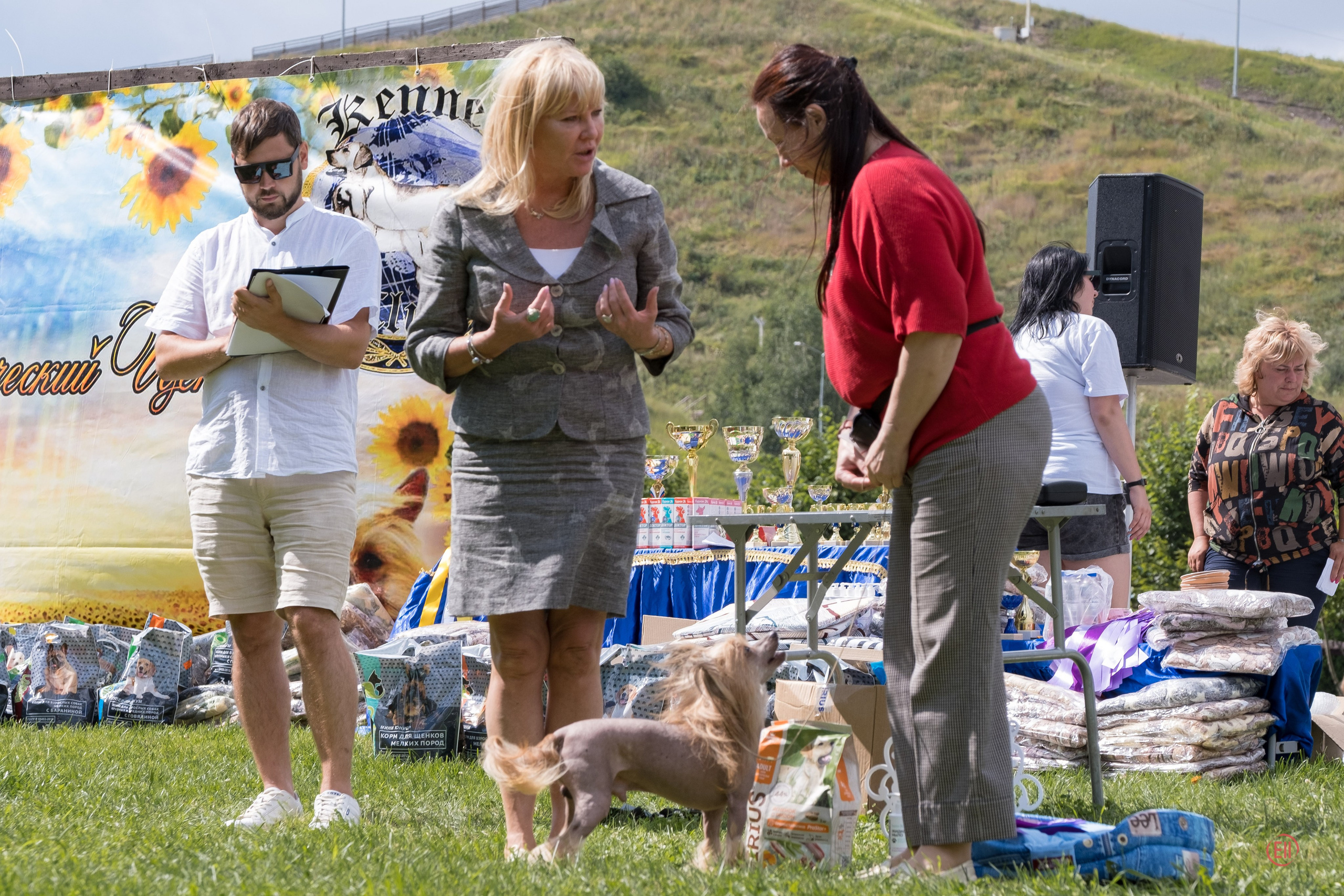 Липецк. Выставка собак. Питомник китайских хохлатых собак Poale Ell: купить щенка