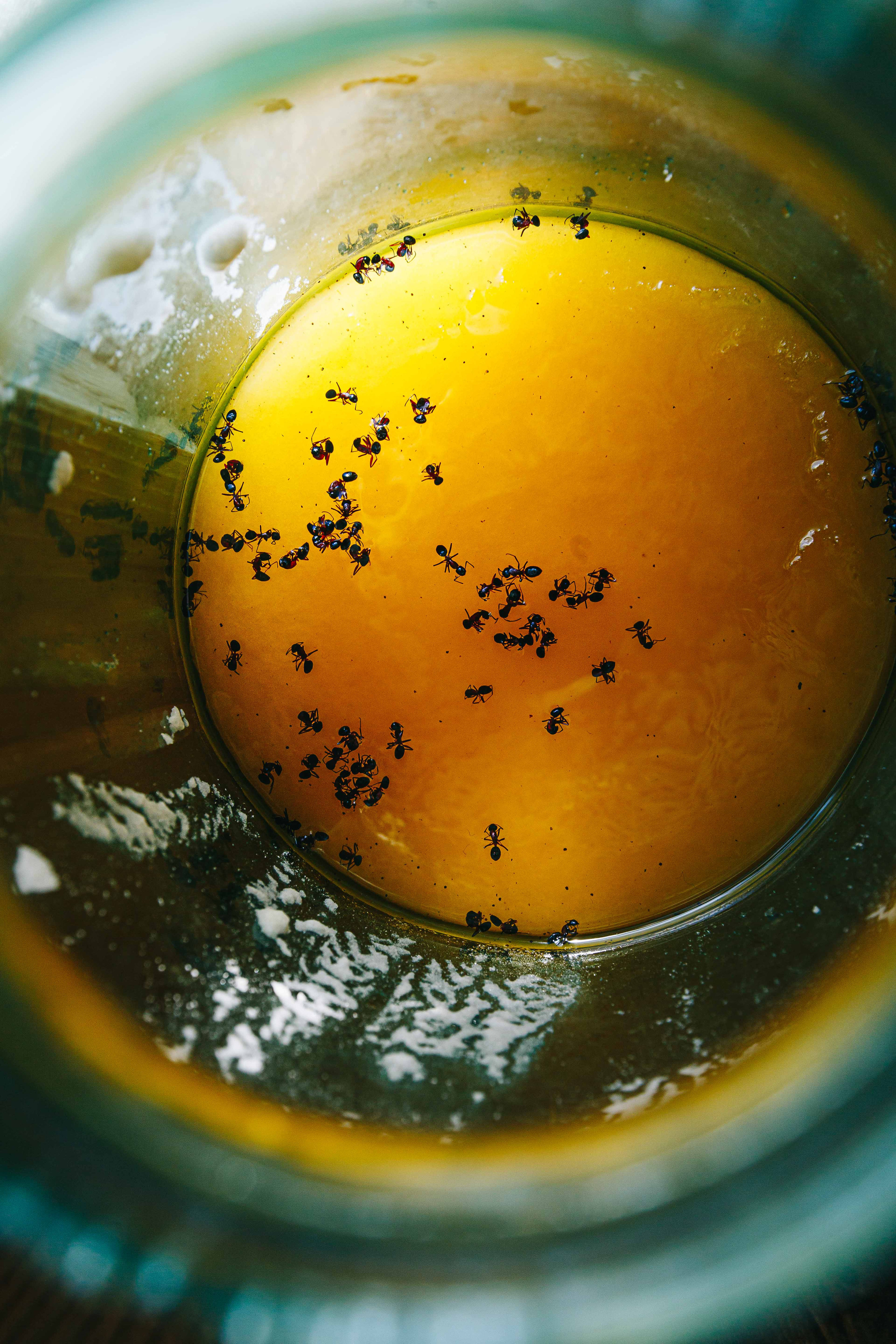 Фотокнига «Брод» визуальной художницы Ольги Михальчук. Ольга Михальчук, художница и фотограф