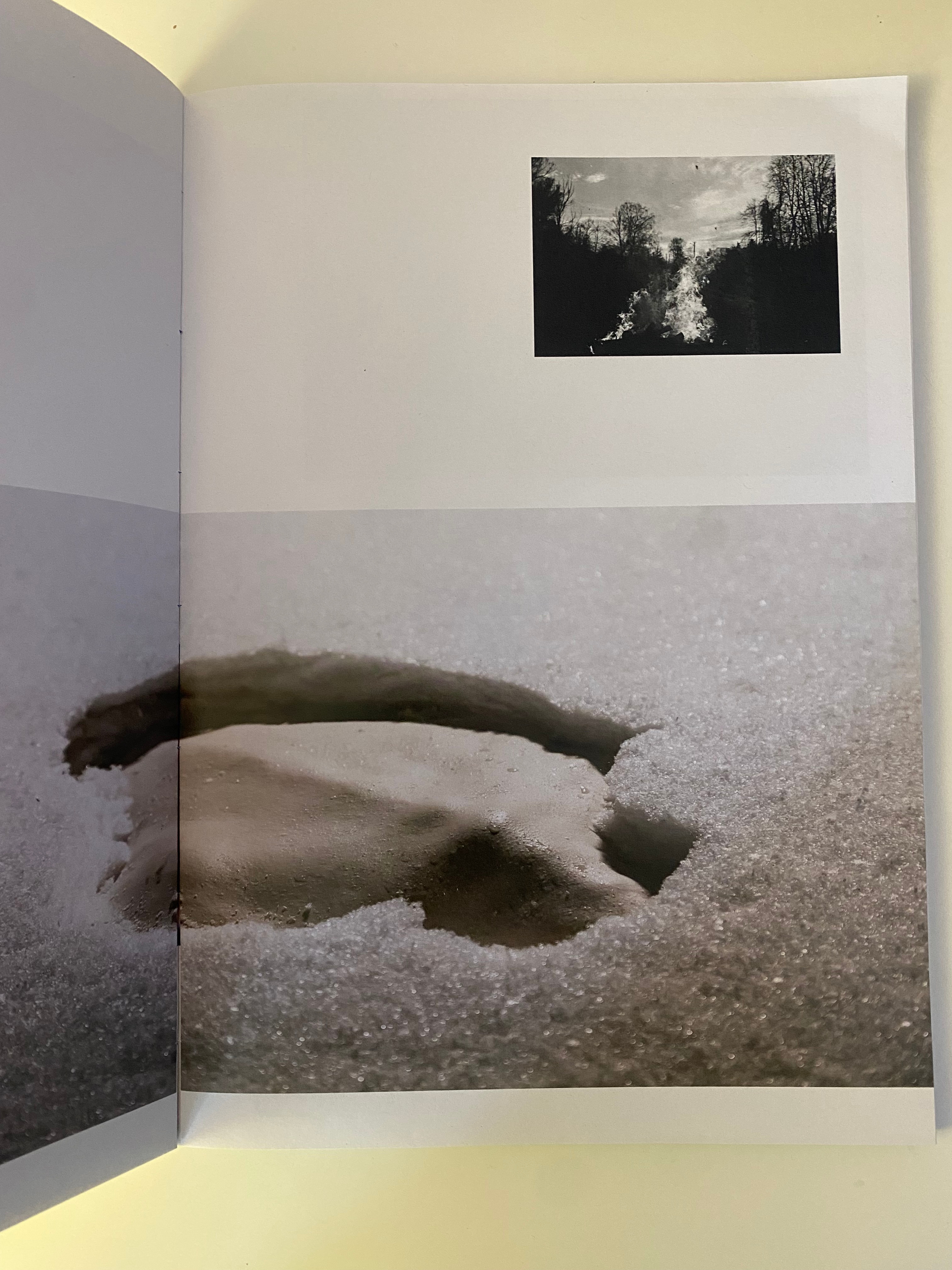 Работы Ольги Михальчук в коллективном зине российских художников. Ольга Михальчук, художница и фотограф