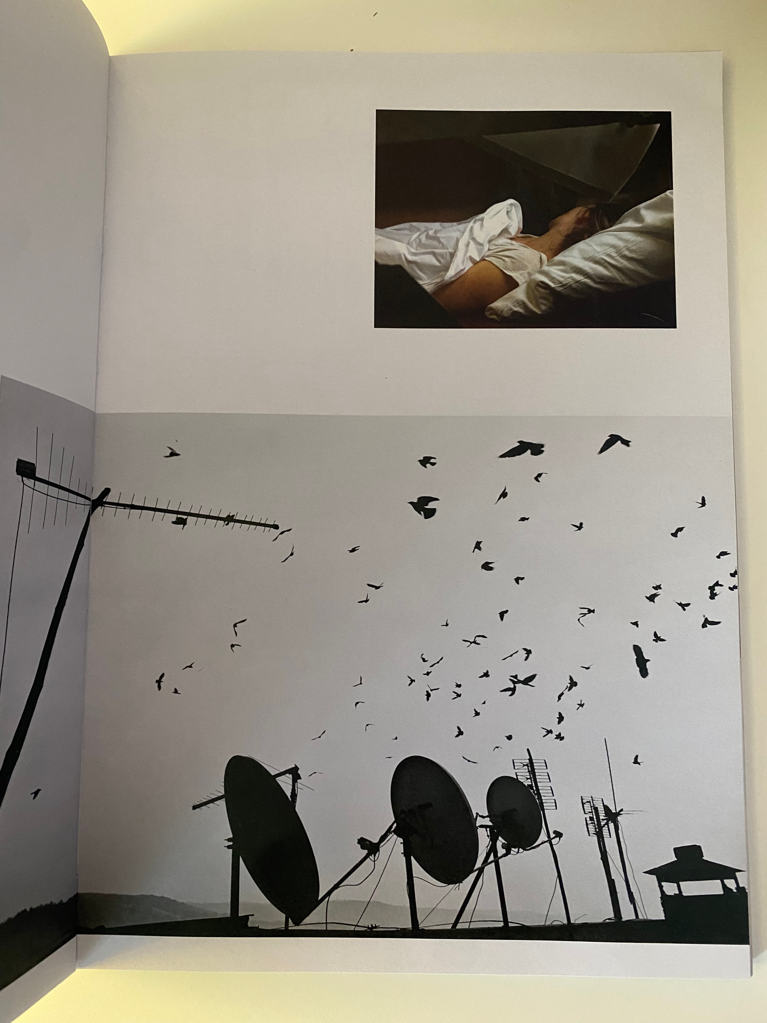 Работы Ольги Михальчук в коллективном зине российских художников. Ольга Михальчук, художница и фотограф