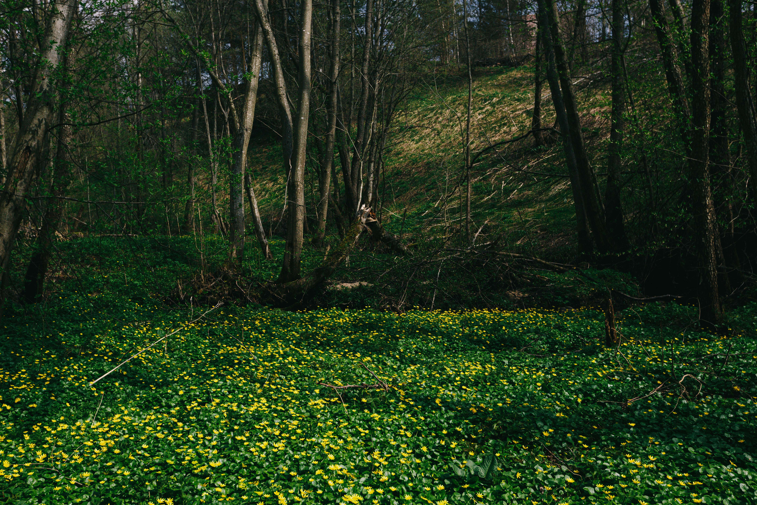 Фотокнига «Брод» визуальной художницы Ольги Михальчук. Ольга Михальчук, художница и фотограф