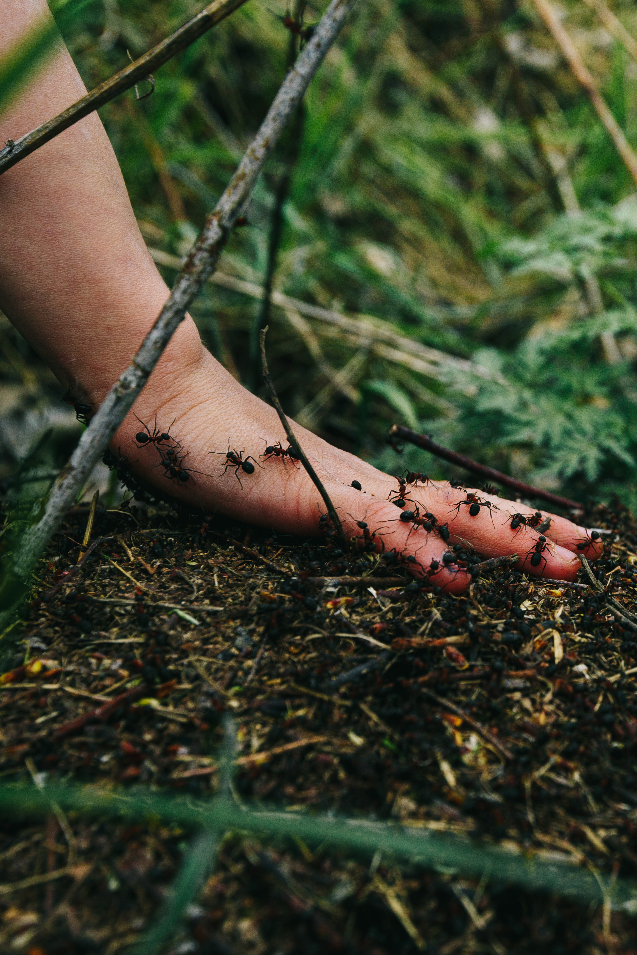 Фотокнига «Брод» визуальной художницы Ольги Михальчук. Ольга Михальчук, художница и фотограф