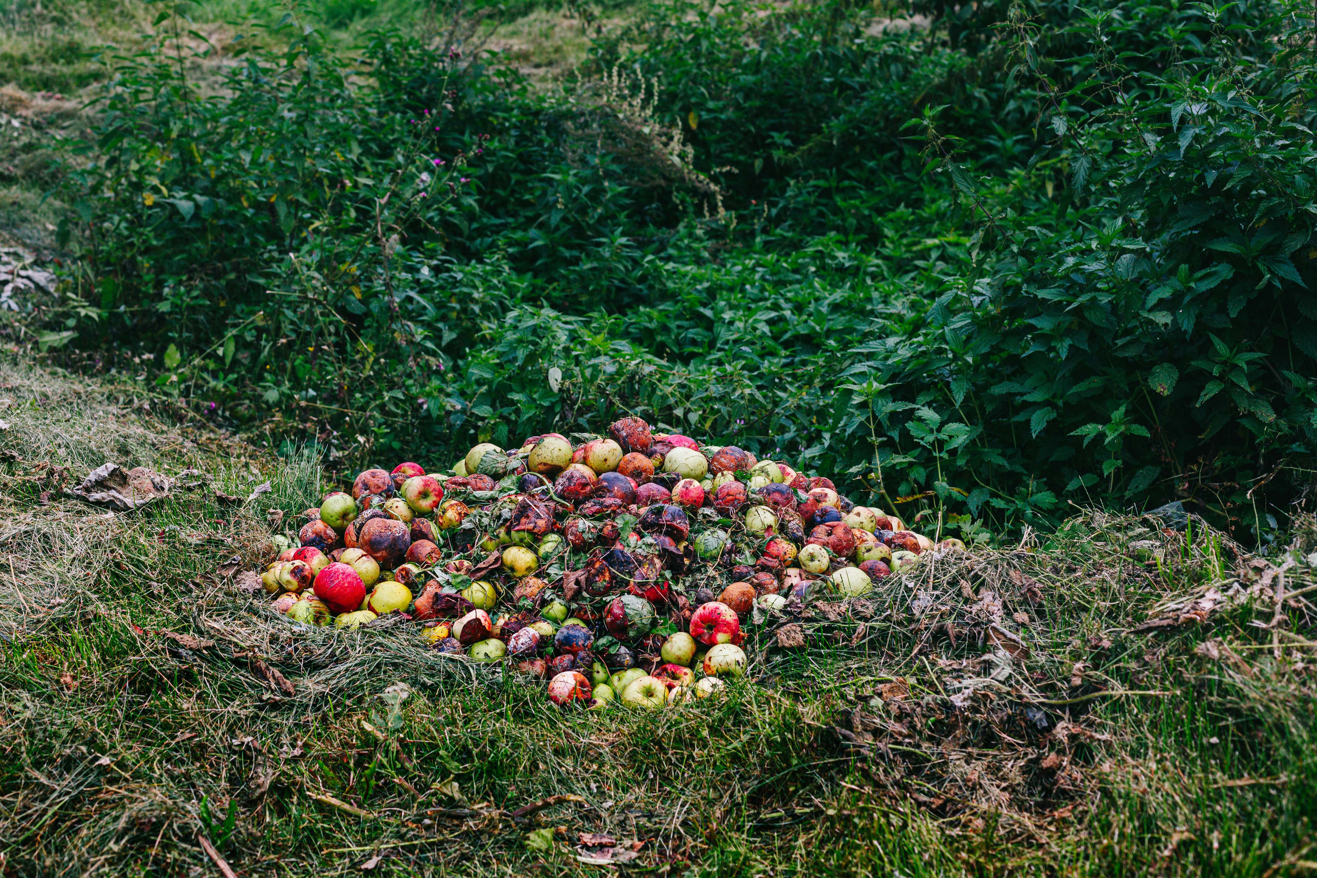 Фотокнига «Брод» визуальной художницы Ольги Михальчук. Ольга Михальчук, художница и фотограф