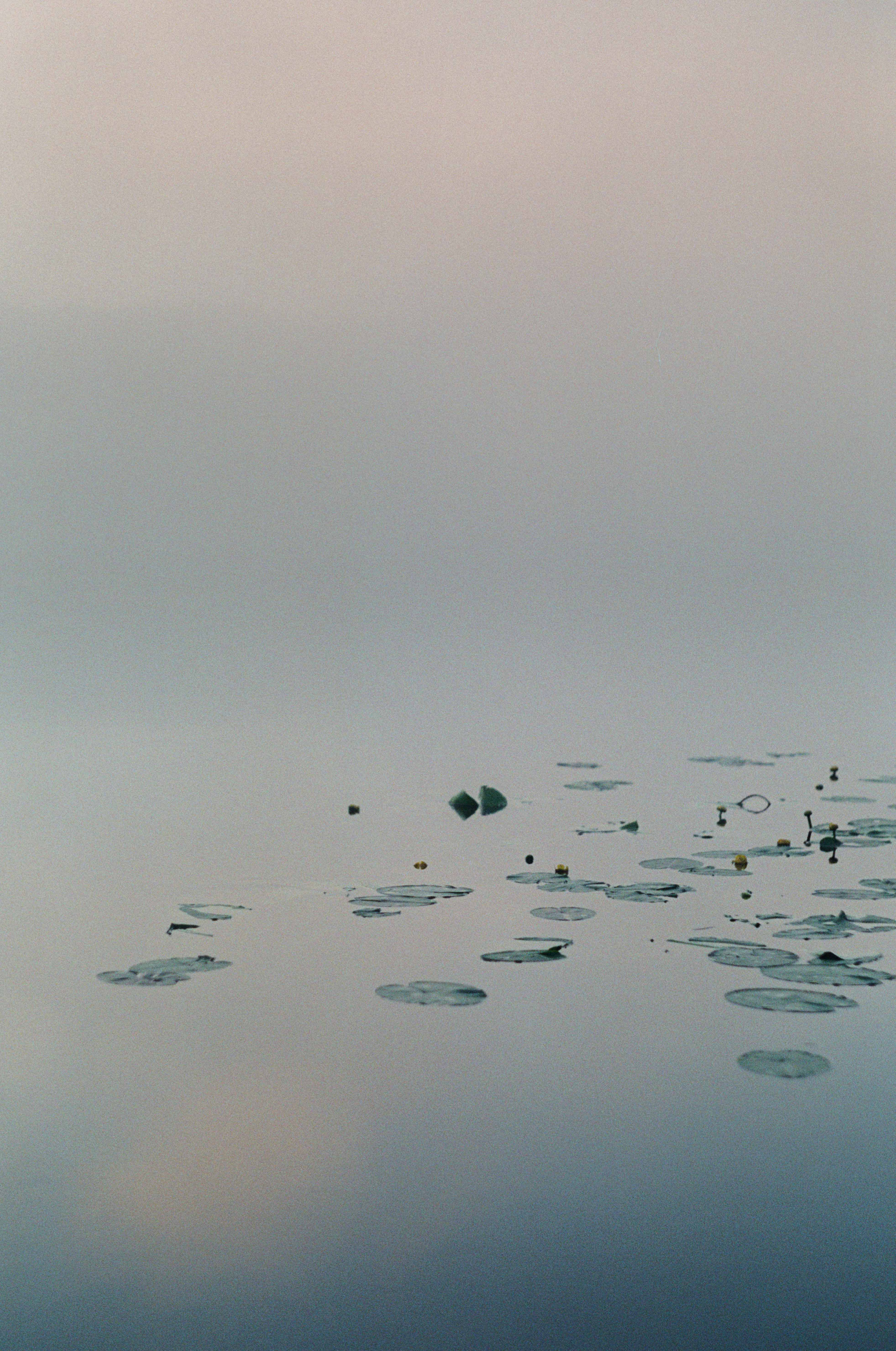 Фотокнига «Брод» визуальной художницы Ольги Михальчук. Ольга Михальчук, художница и фотограф