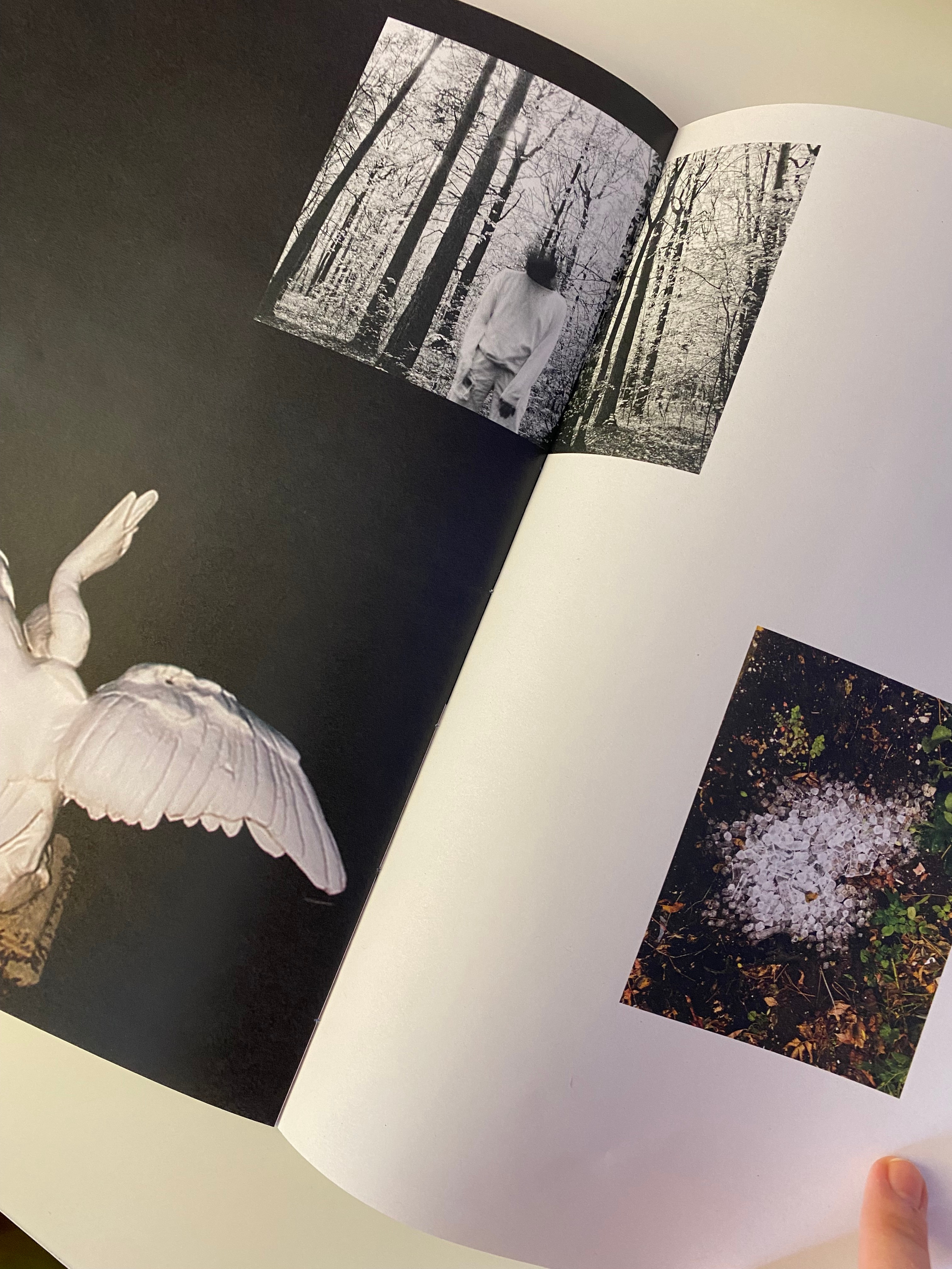 Работы Ольги Михальчук в коллективном зине российских художников. Ольга Михальчук, художница и фотограф