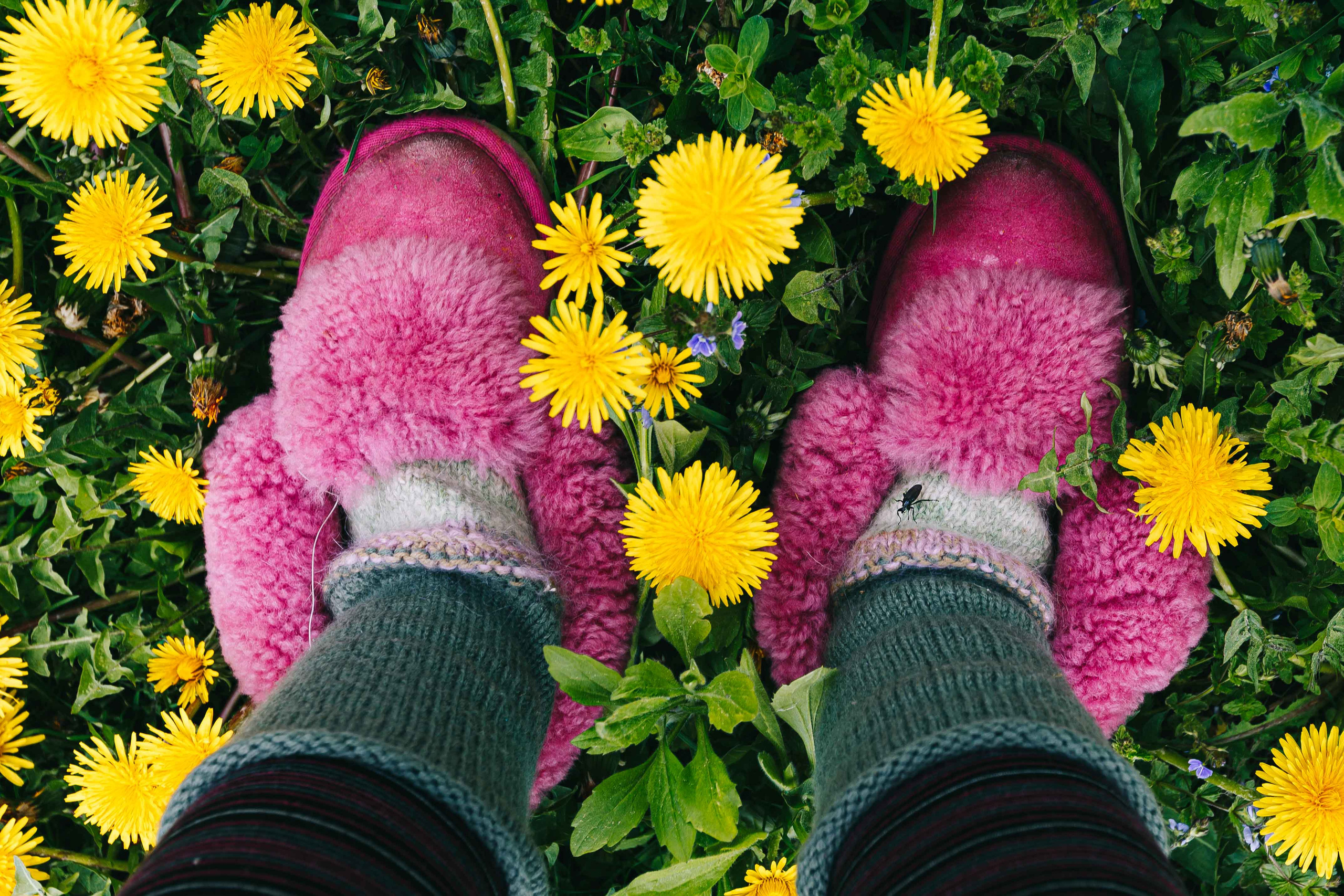 Фотокнига «Брод» визуальной художницы Ольги Михальчук. Ольга Михальчук, художница и фотограф