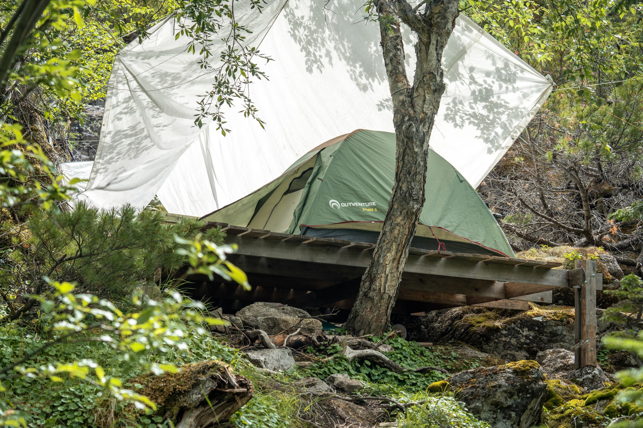 Проекты. Andrew Gusarov Nature Photography