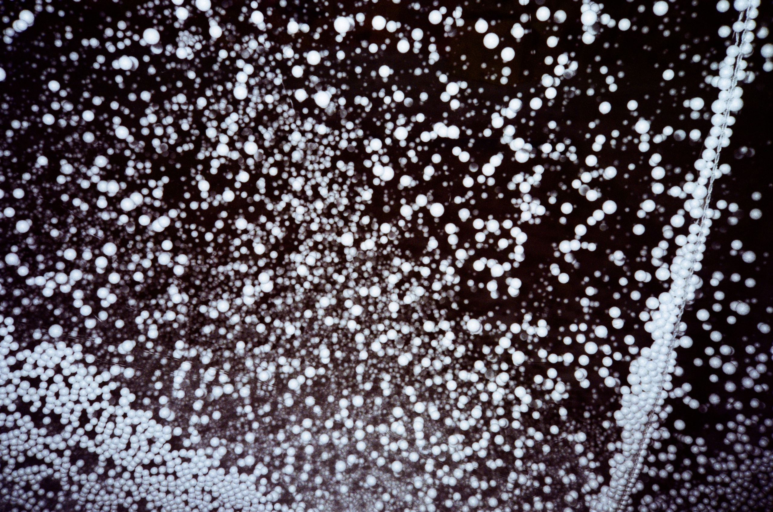 Автор: Степан Завизион