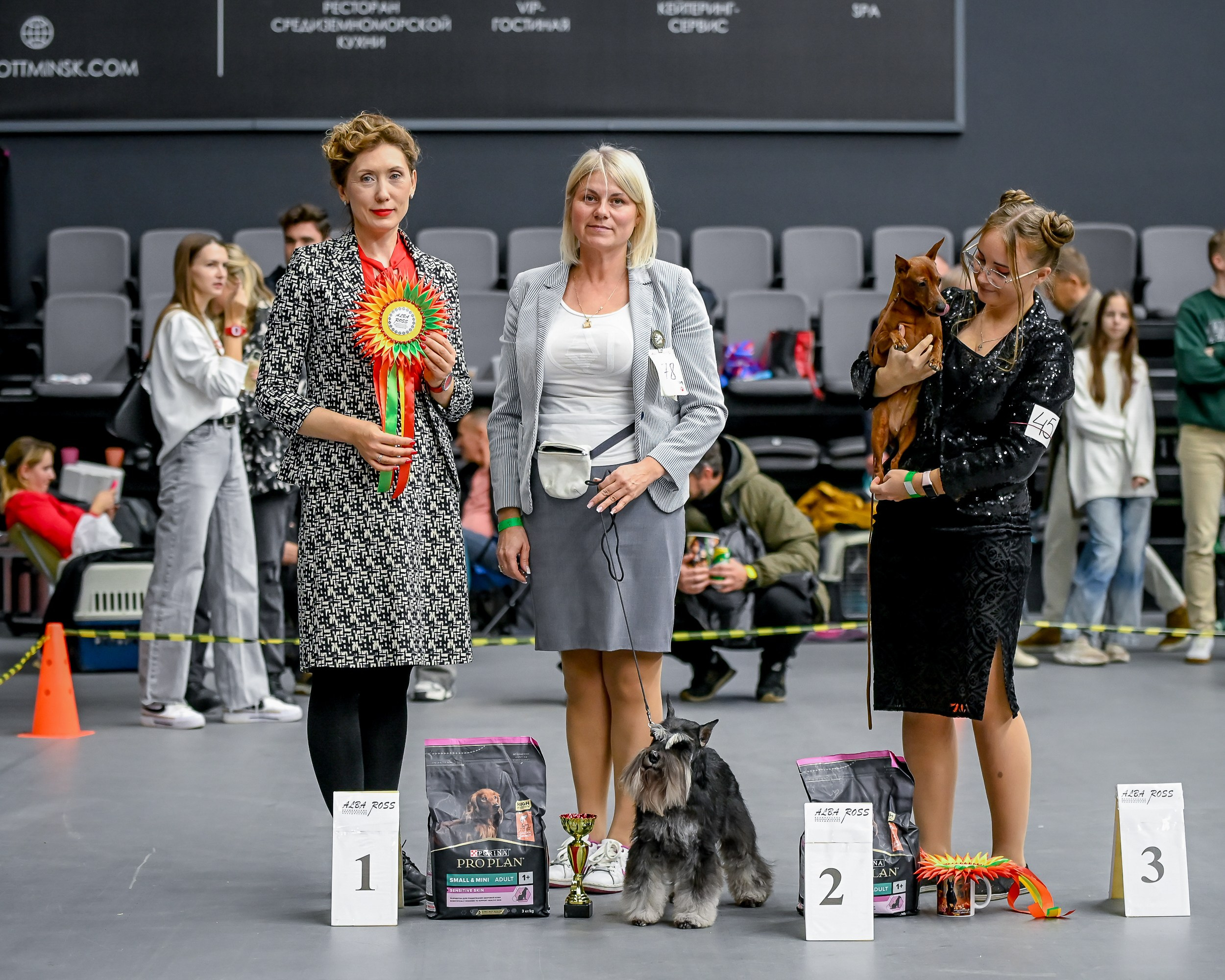 Питомник Делинсо Бэлэнс, щенки цвергшнауцера, купить щенка цвергшнауцера, питомник цвергшнауцеров, кобель цвергшнауцера для вязки, щенок цвергшнауцера, питомник цвергшнауцеров, черный с серебром, цверг, лучший питомник в беларуси, питомник цвергшнауцеров минск