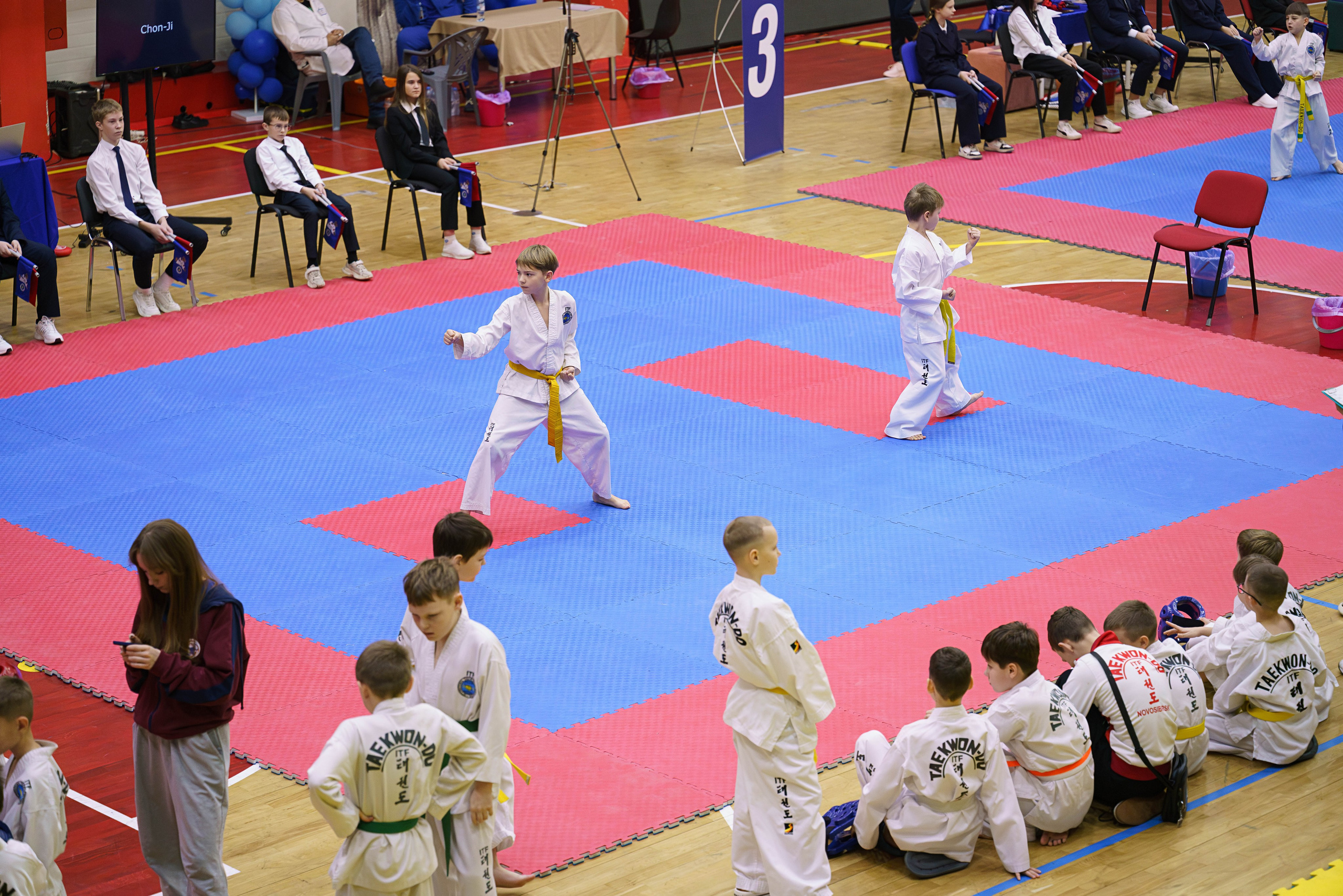 Соревнования Тхэквандо 23.11.2025. Фотограф Наталья Соколовская. Новосибирск