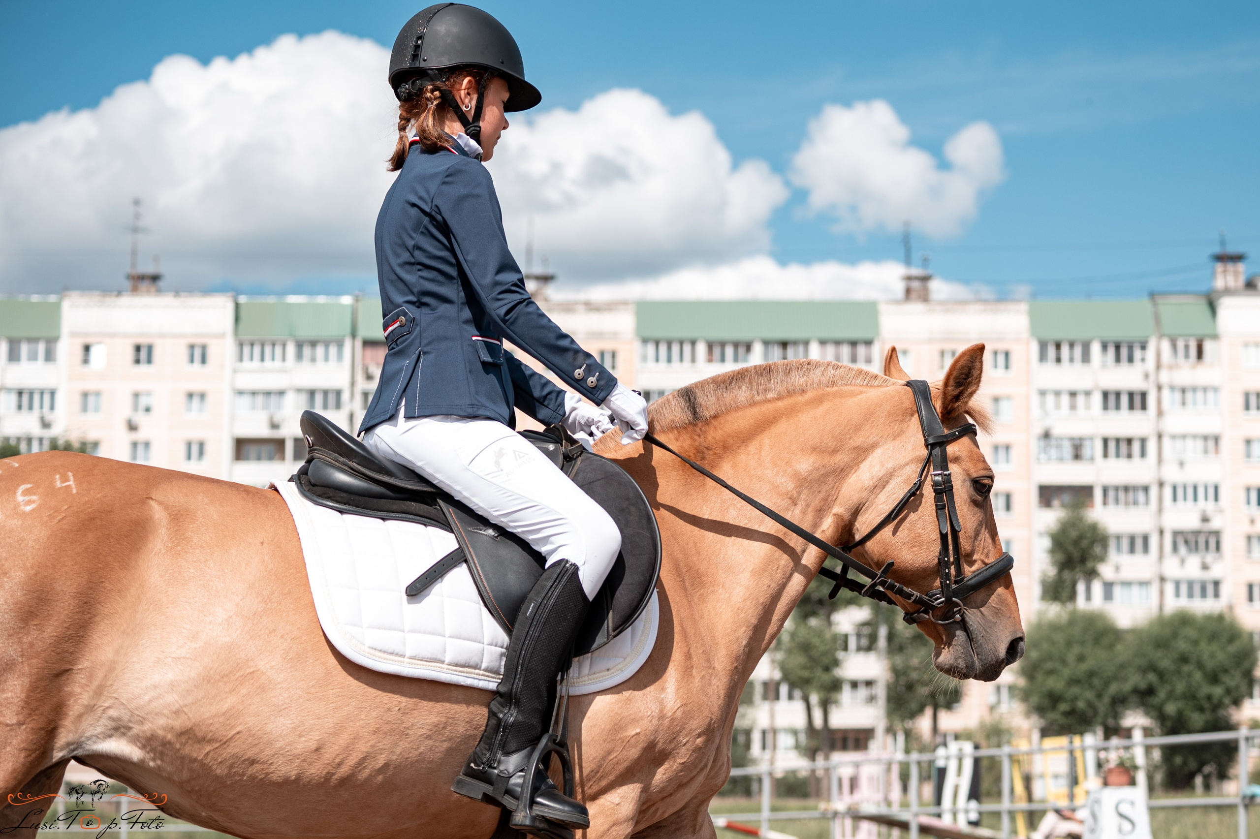Областные соревнования по выездке. Тверь. Конный и фотограф с животными в Твери Топталова Люся