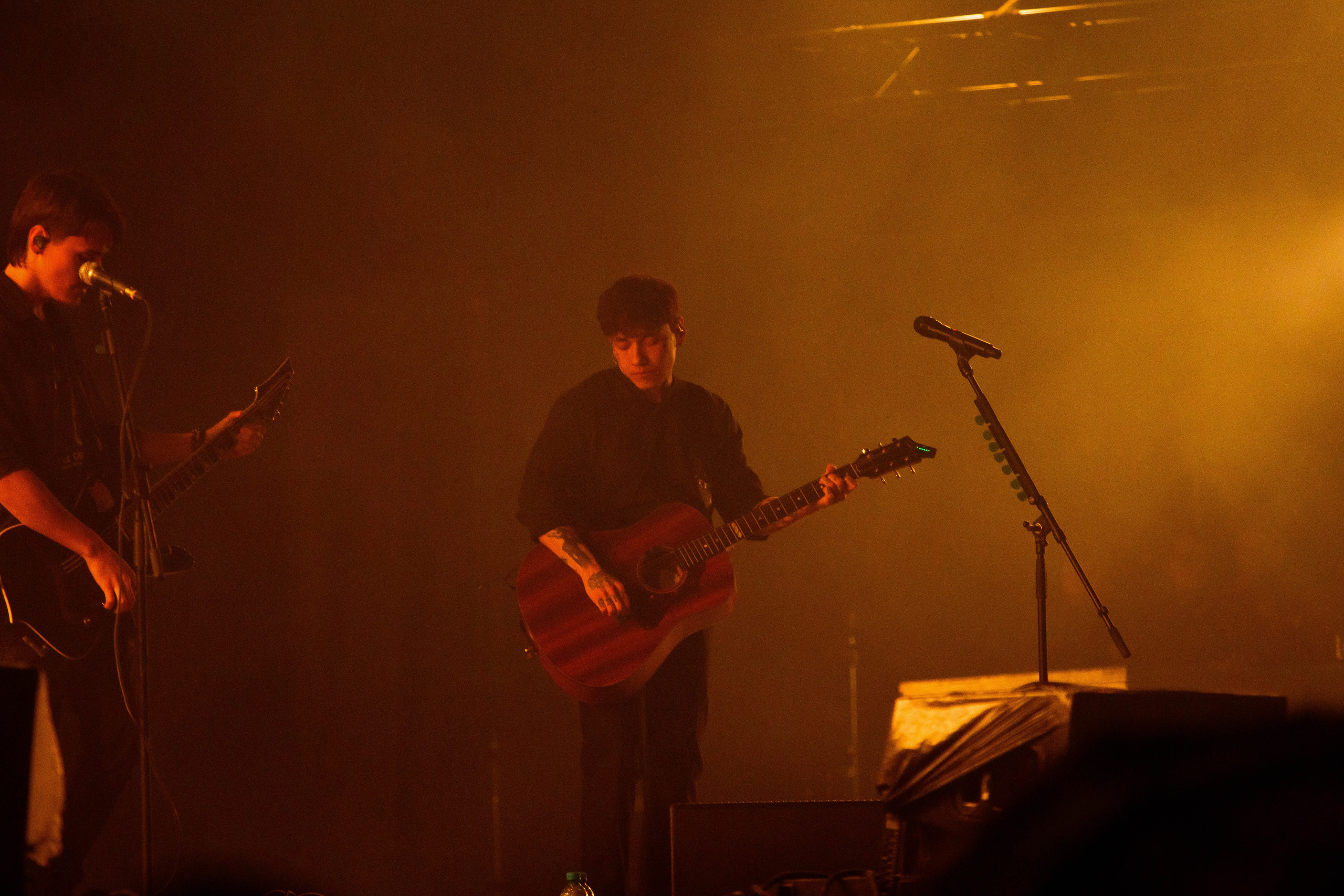 Дикая мята 2025. Концертный фотограф