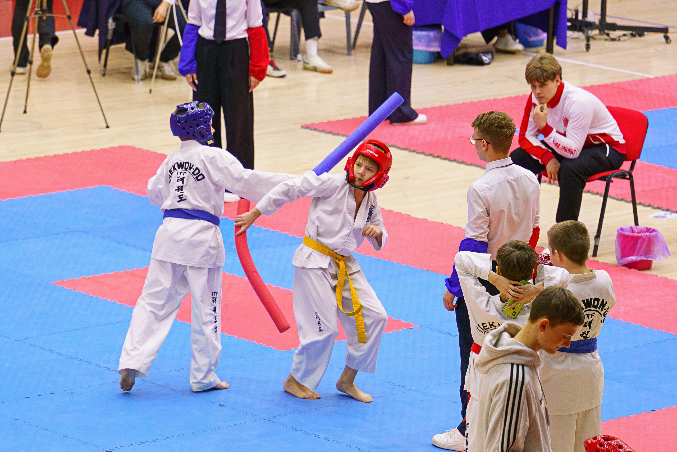 Соревнования Тхэквандо 23.11.2025. Фотограф Наталья Соколовская. Новосибирск